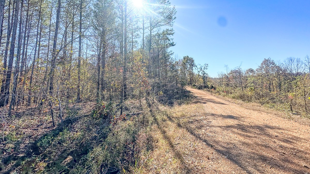 0 Timber Twist Lane Property Photo 12