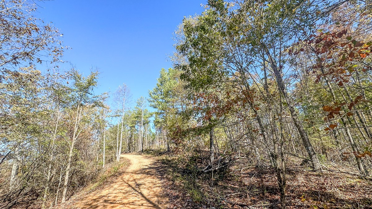 0 Timber Twist Lane Property Photo 13