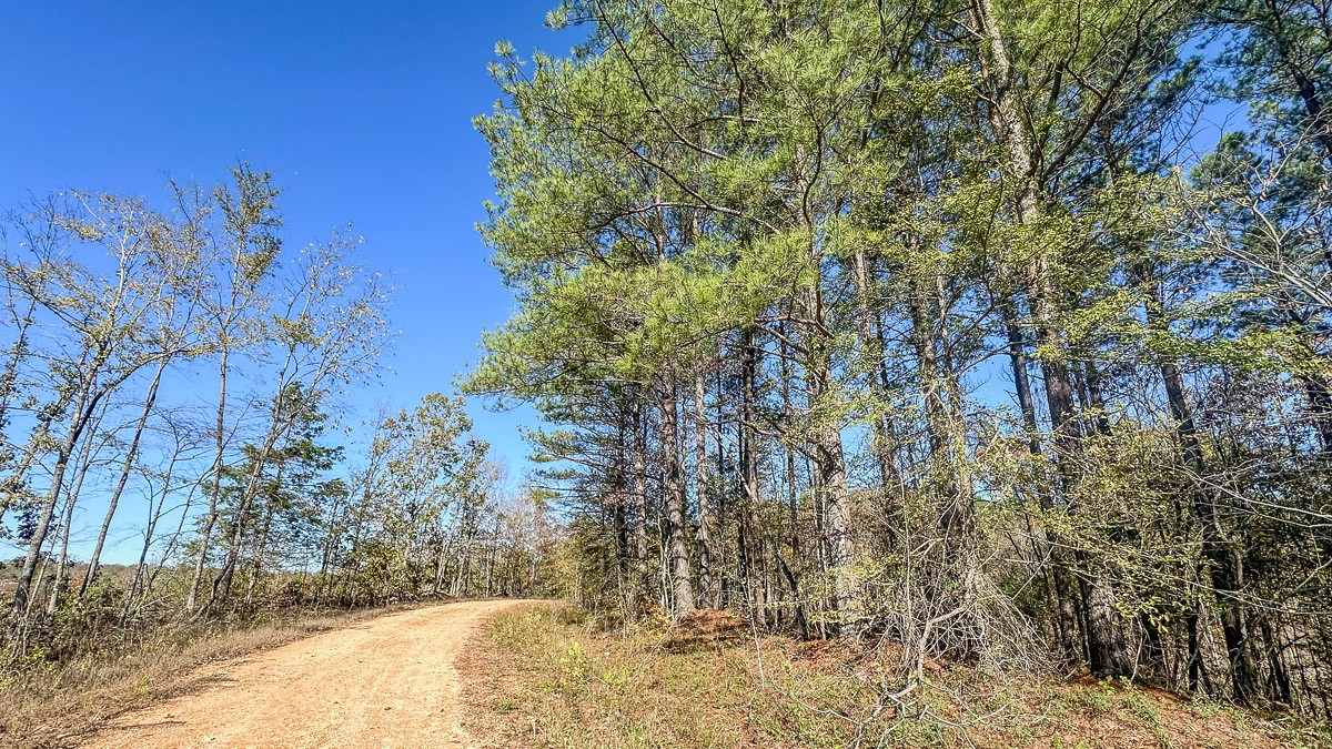 0 Timber Twist Lane Property Photo 16