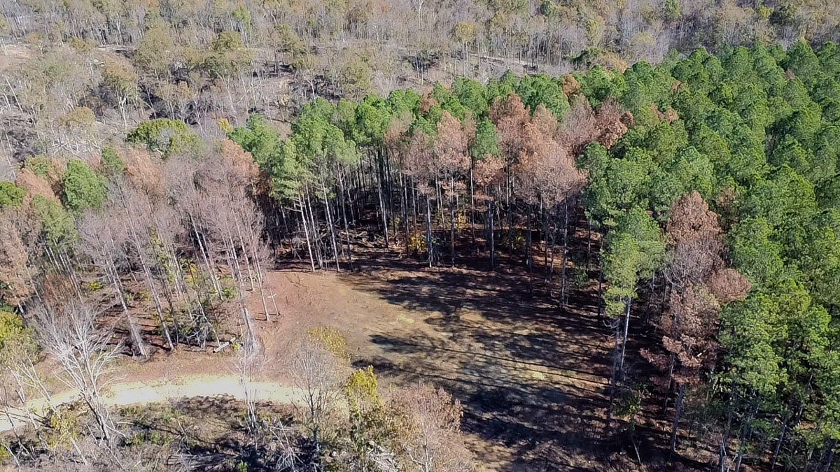 0 Timber Twist Lane Property Photo 32