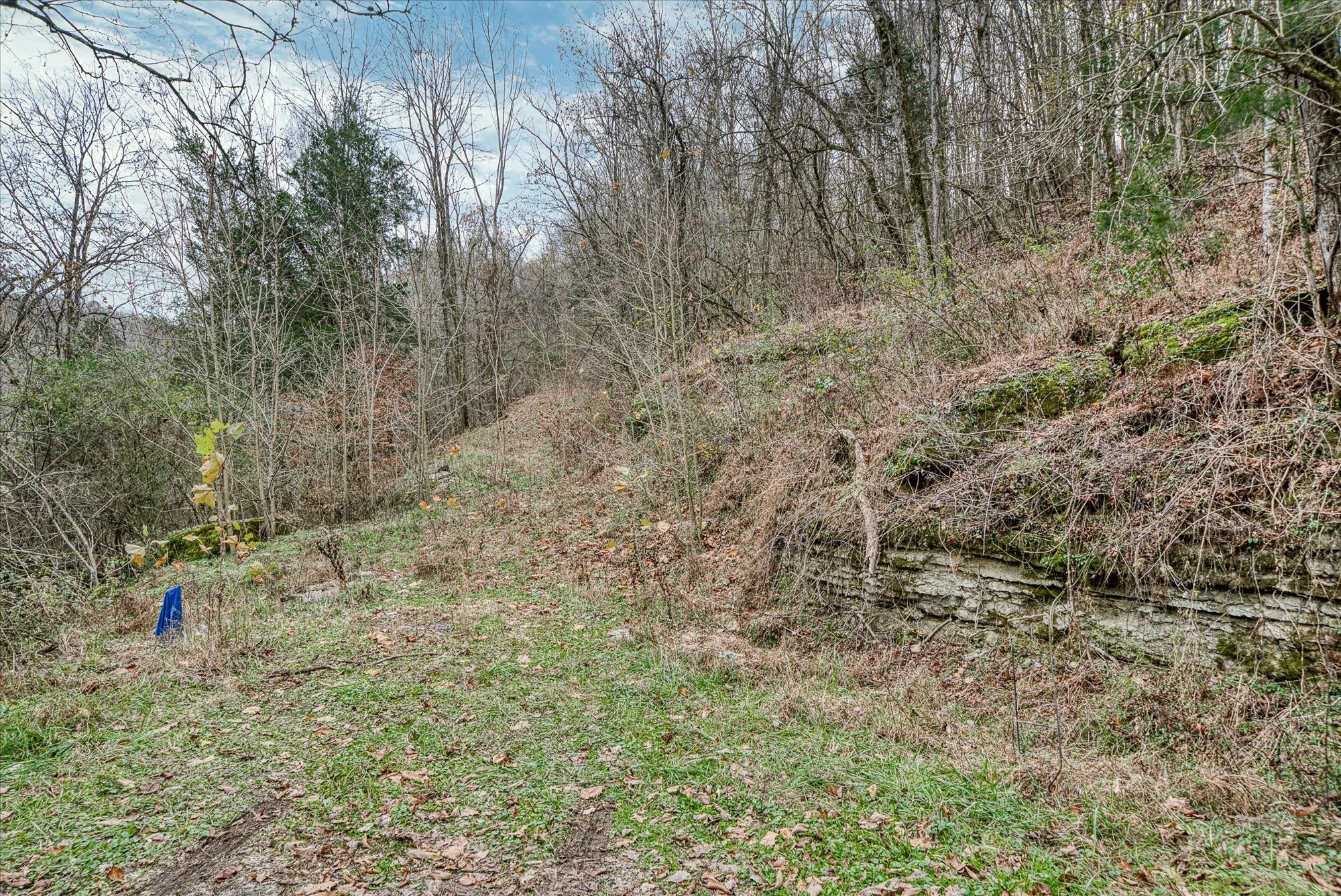 0 Gladdice Hwy Property Photo 10