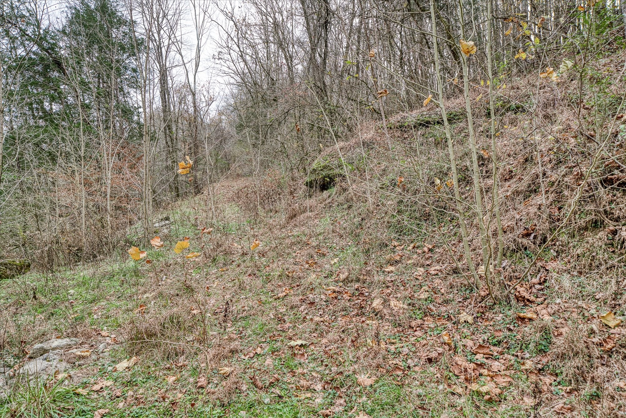 0 Gladdice Hwy Property Photo 12
