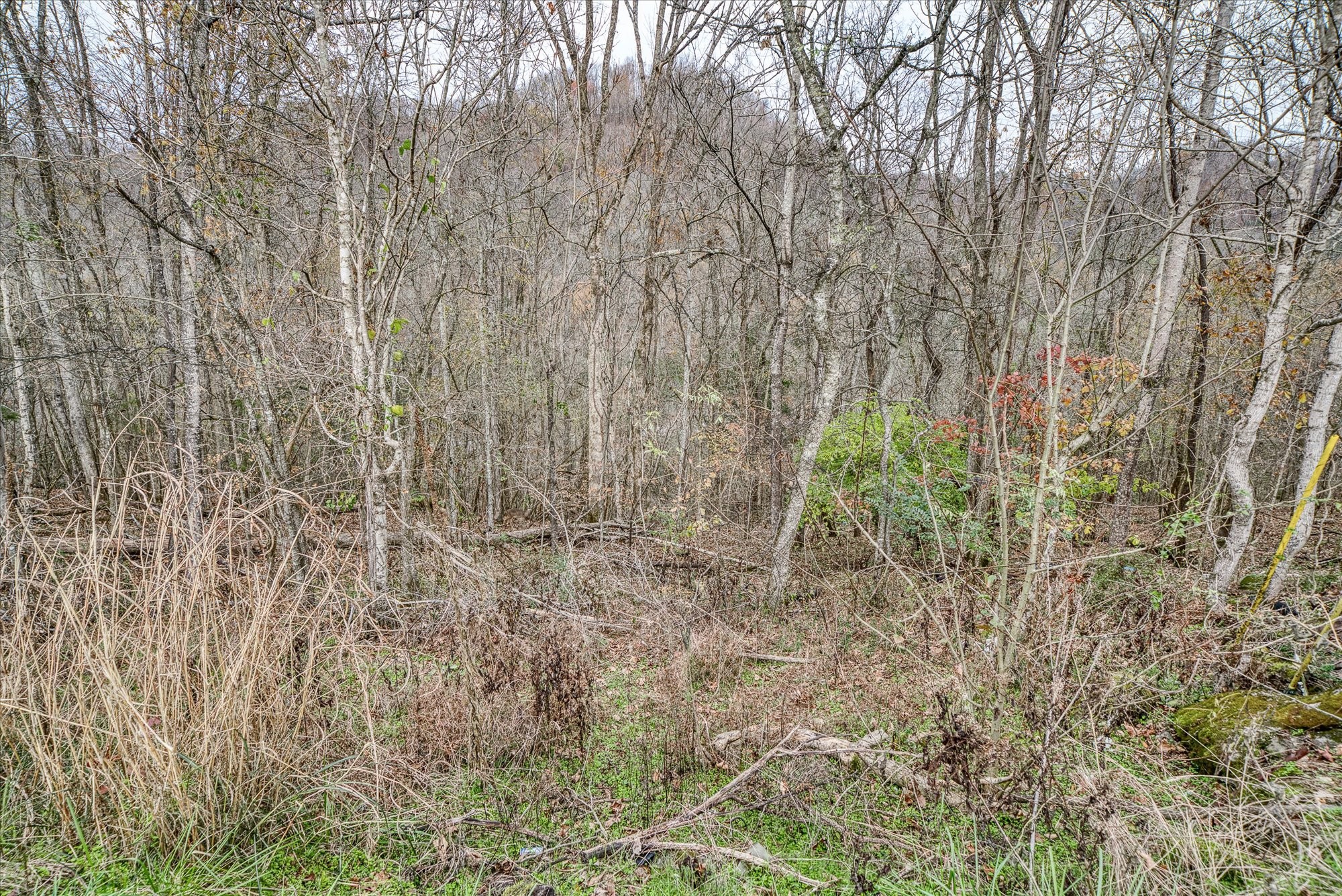 0 Gladdice Hwy Property Photo 17