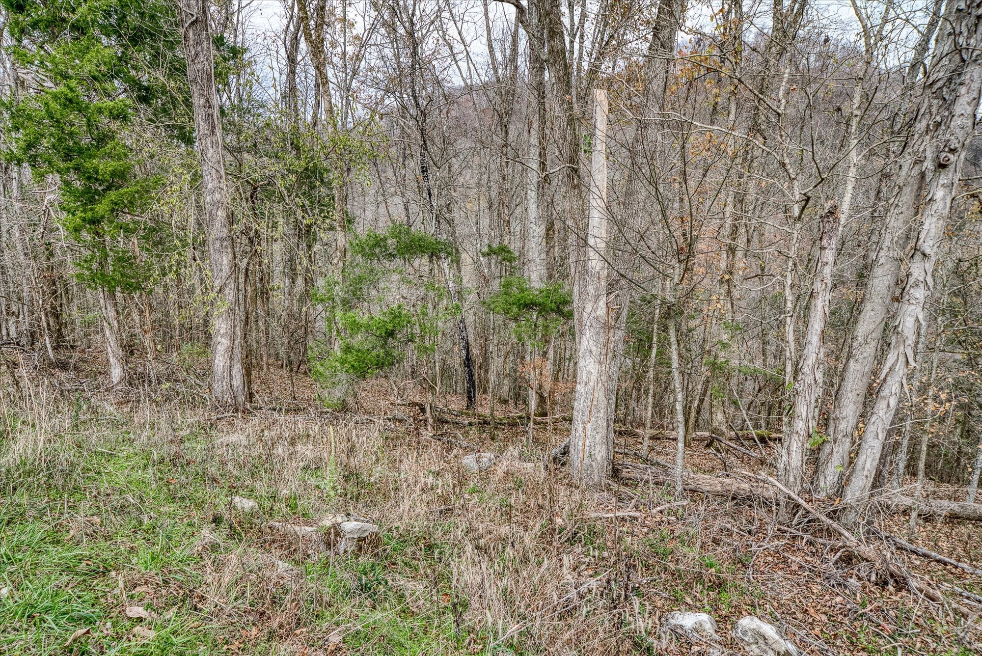 0 Gladdice Hwy Property Photo 18