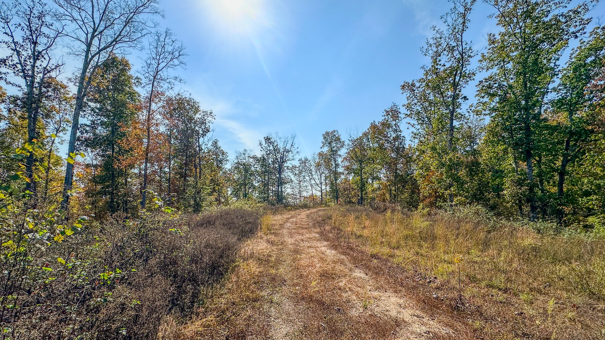 5776 Highway 100 Property Photo 18