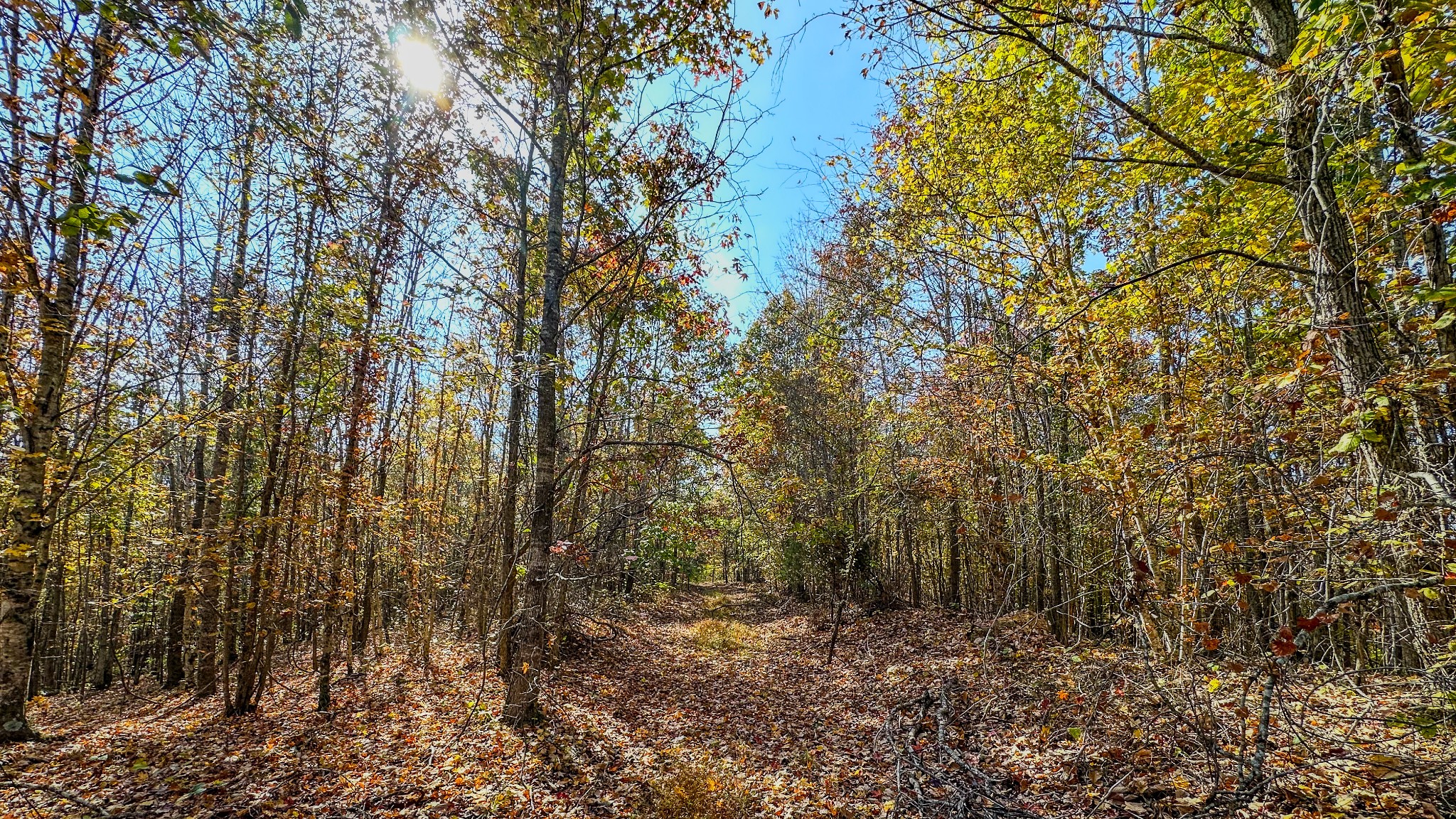 5776 Highway 100 Property Photo 19