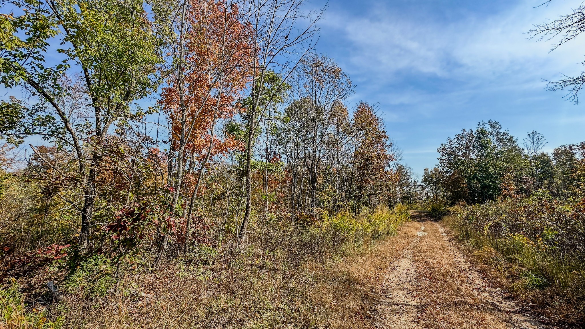 5776 Highway 100 Property Photo 20