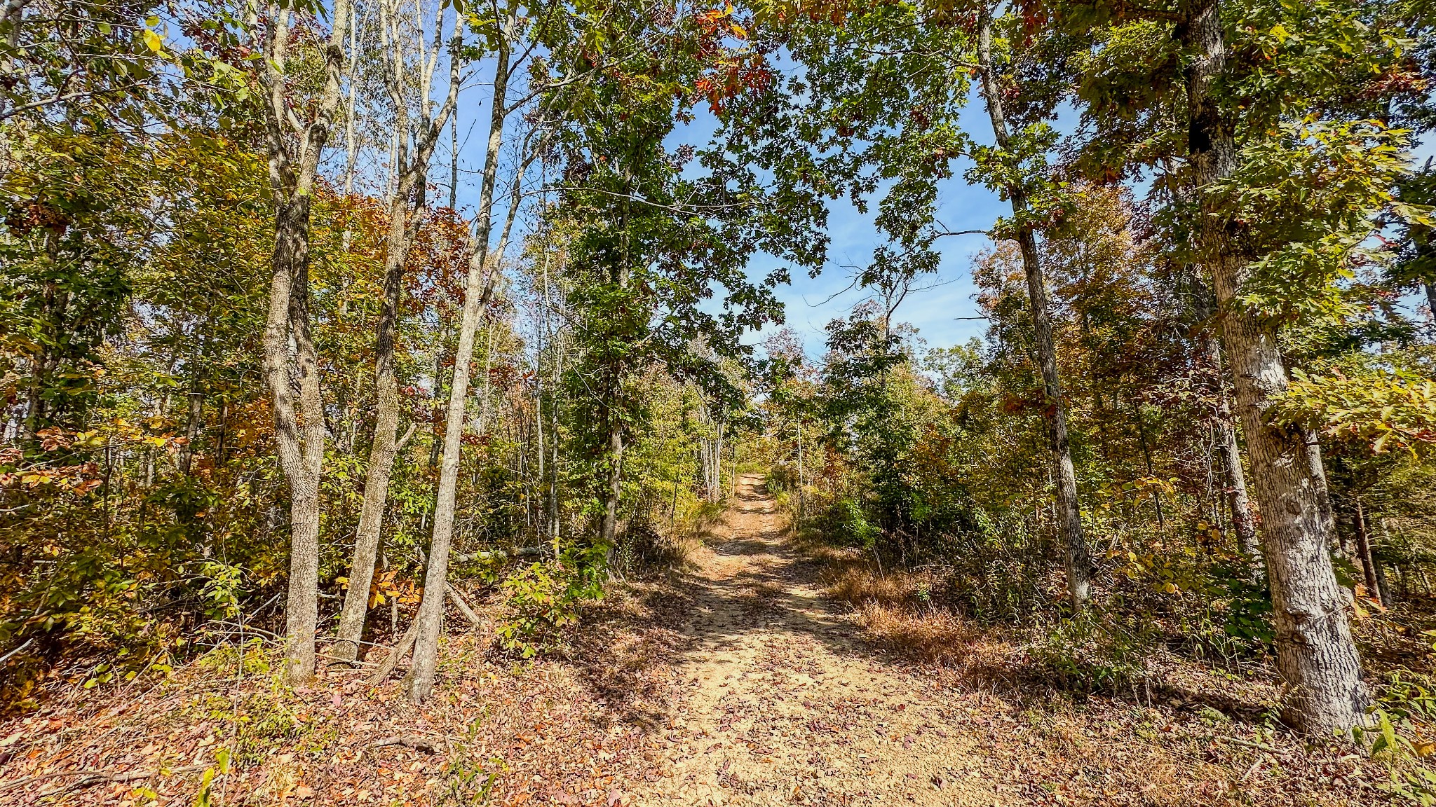 5776 Highway 100 Property Photo 21