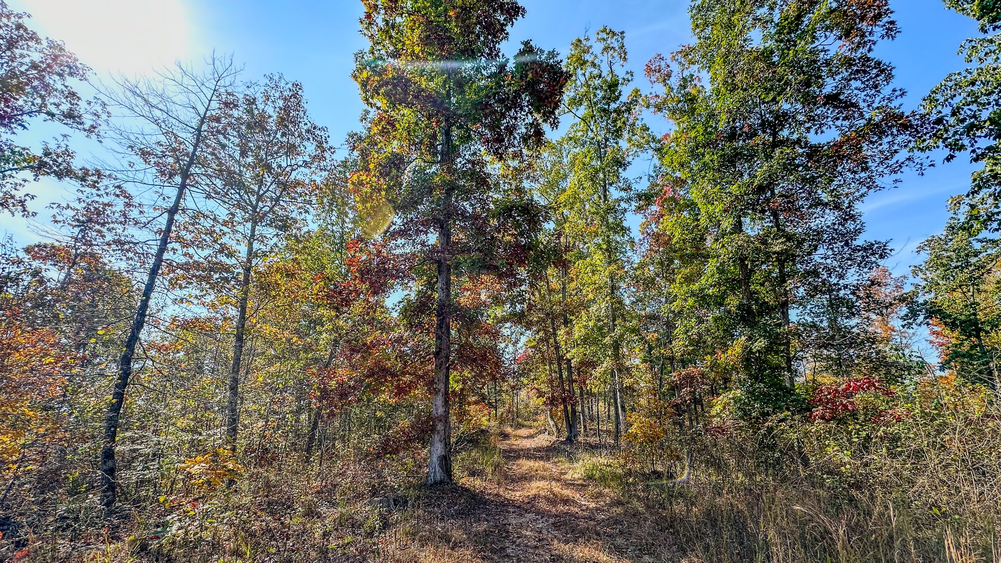 5776 Highway 100 Property Photo 22