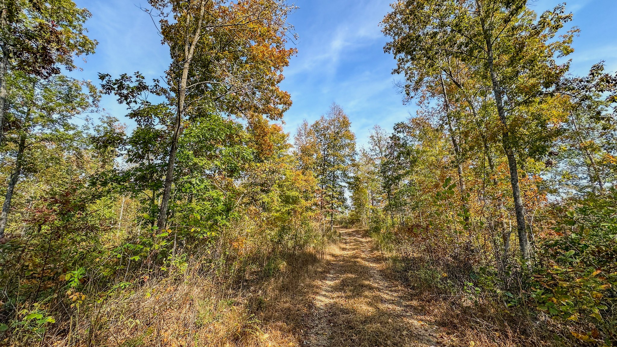 5776 Highway 100 Property Photo 23