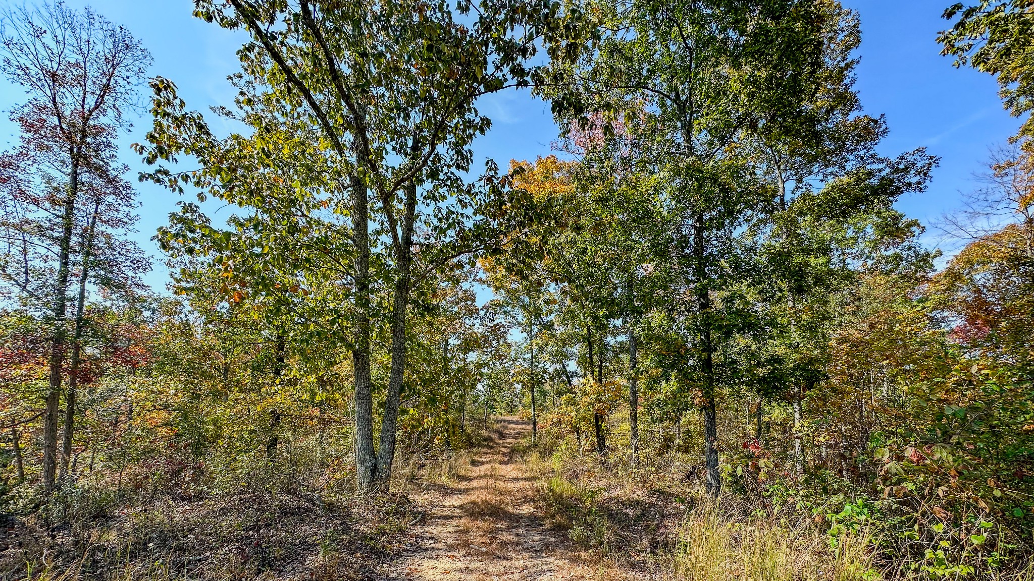 5776 Highway 100 Property Photo 24