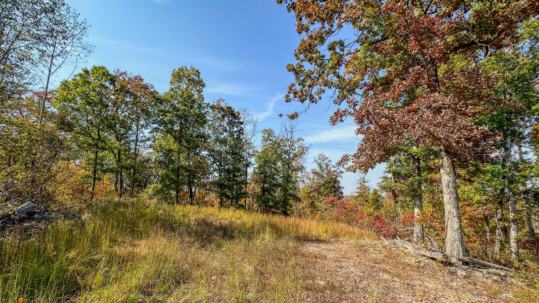 5776 Highway 100 Property Photo 26