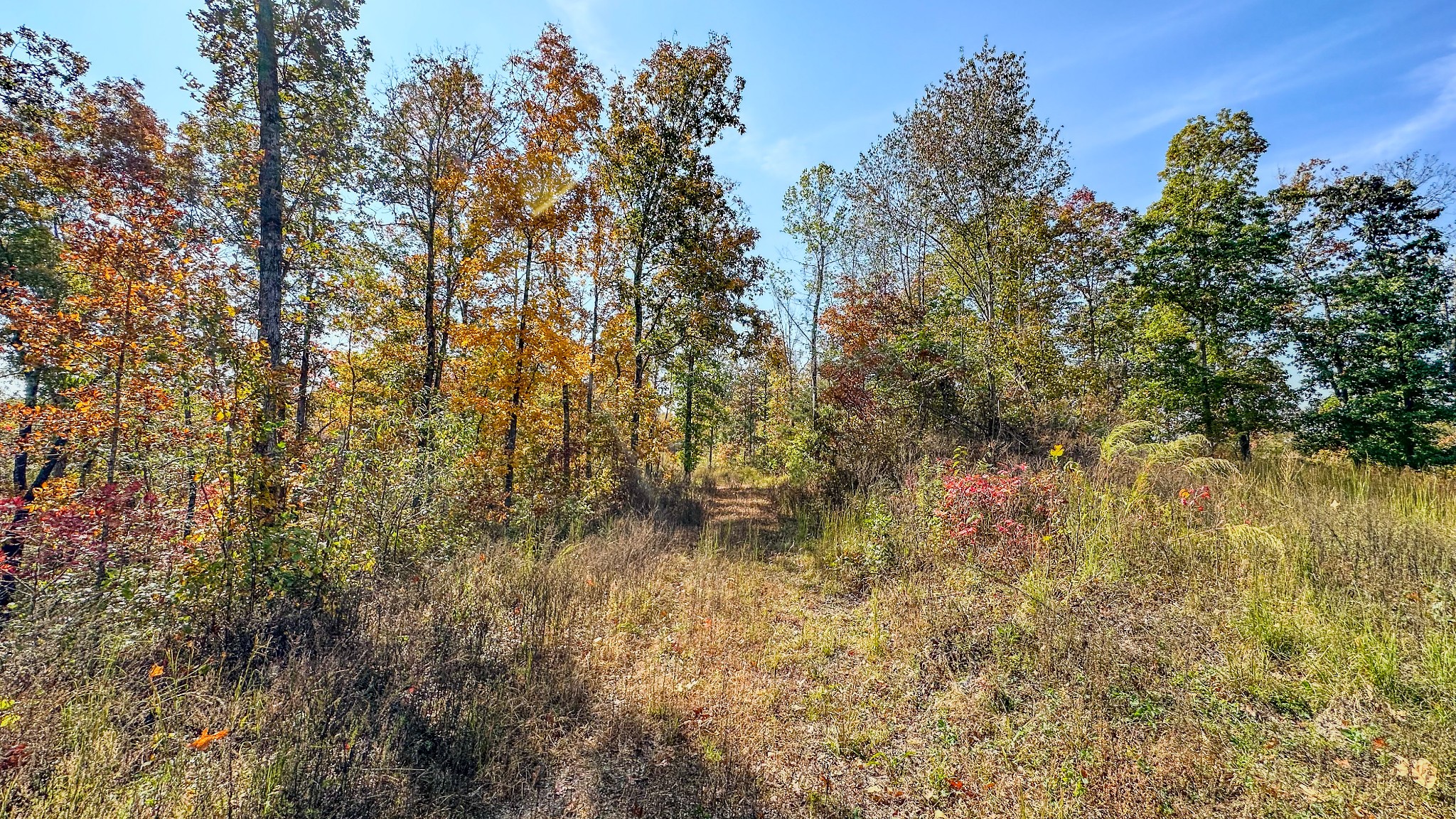 5776 Highway 100 Property Photo 27