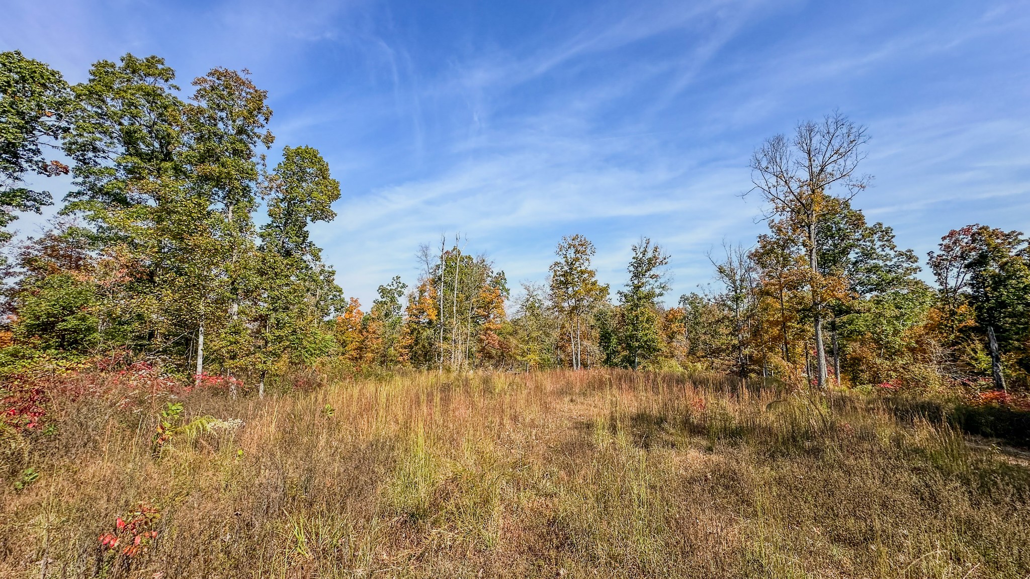 5776 Highway 100 Property Photo 28