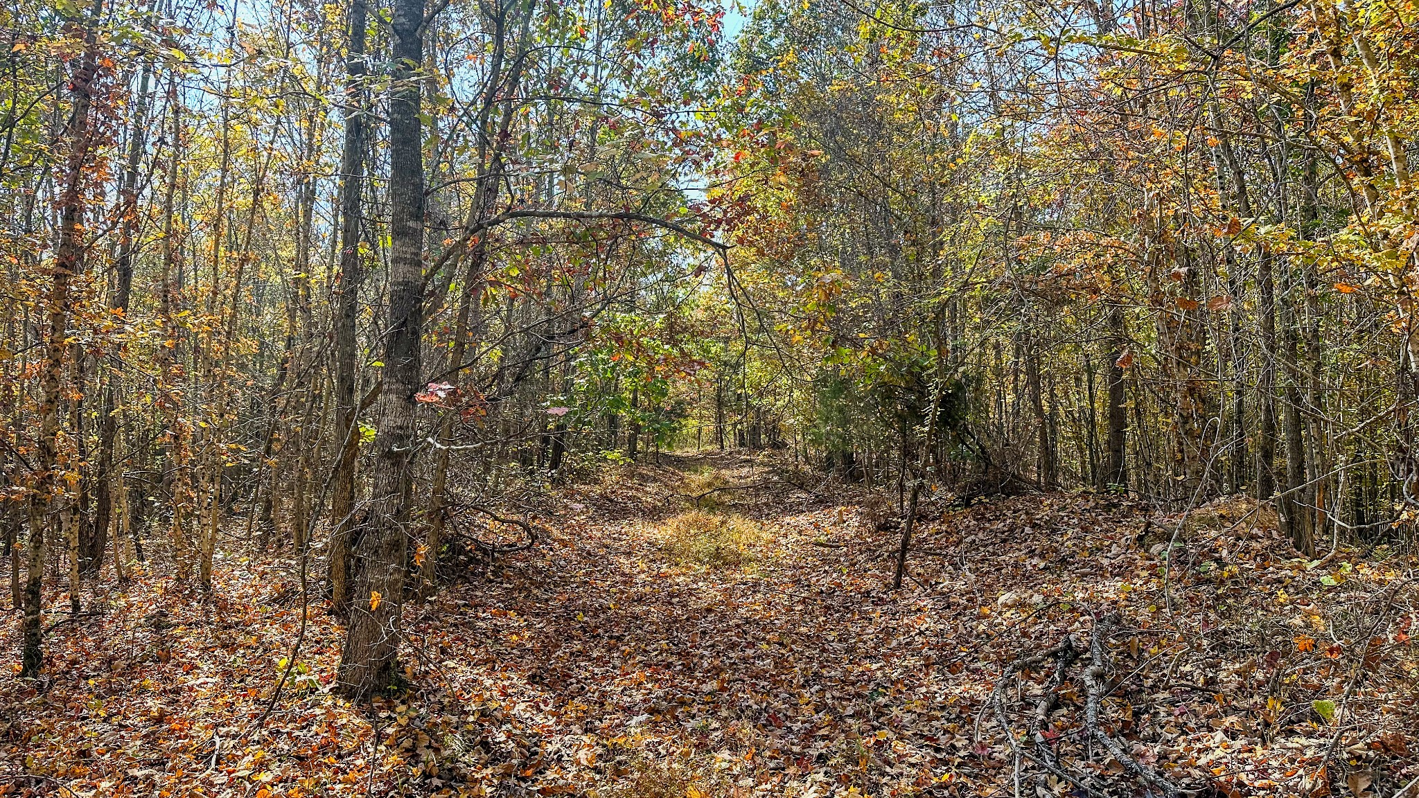 5776 Highway 100 Property Photo 29
