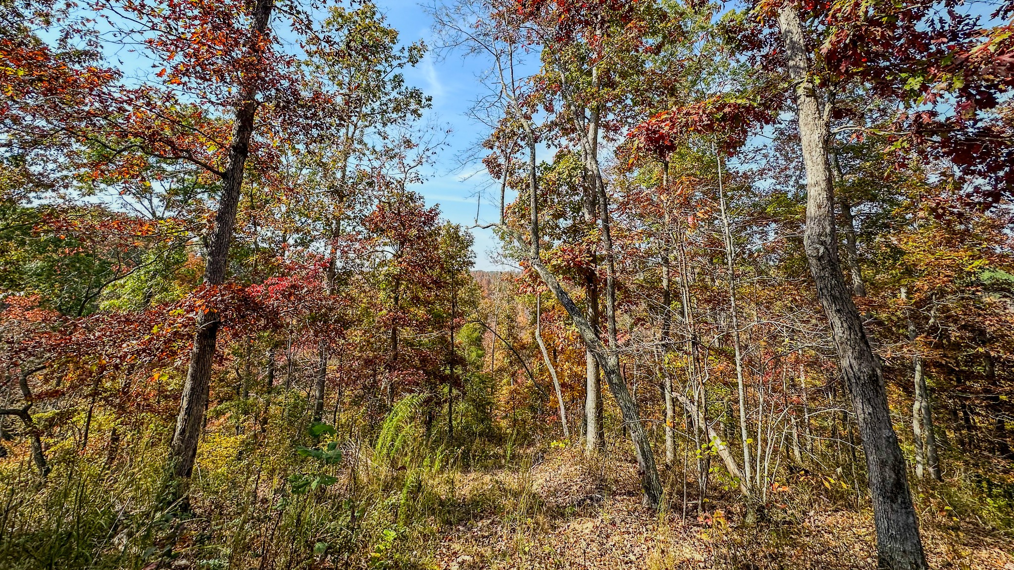 5776 Highway 100 Property Photo 30