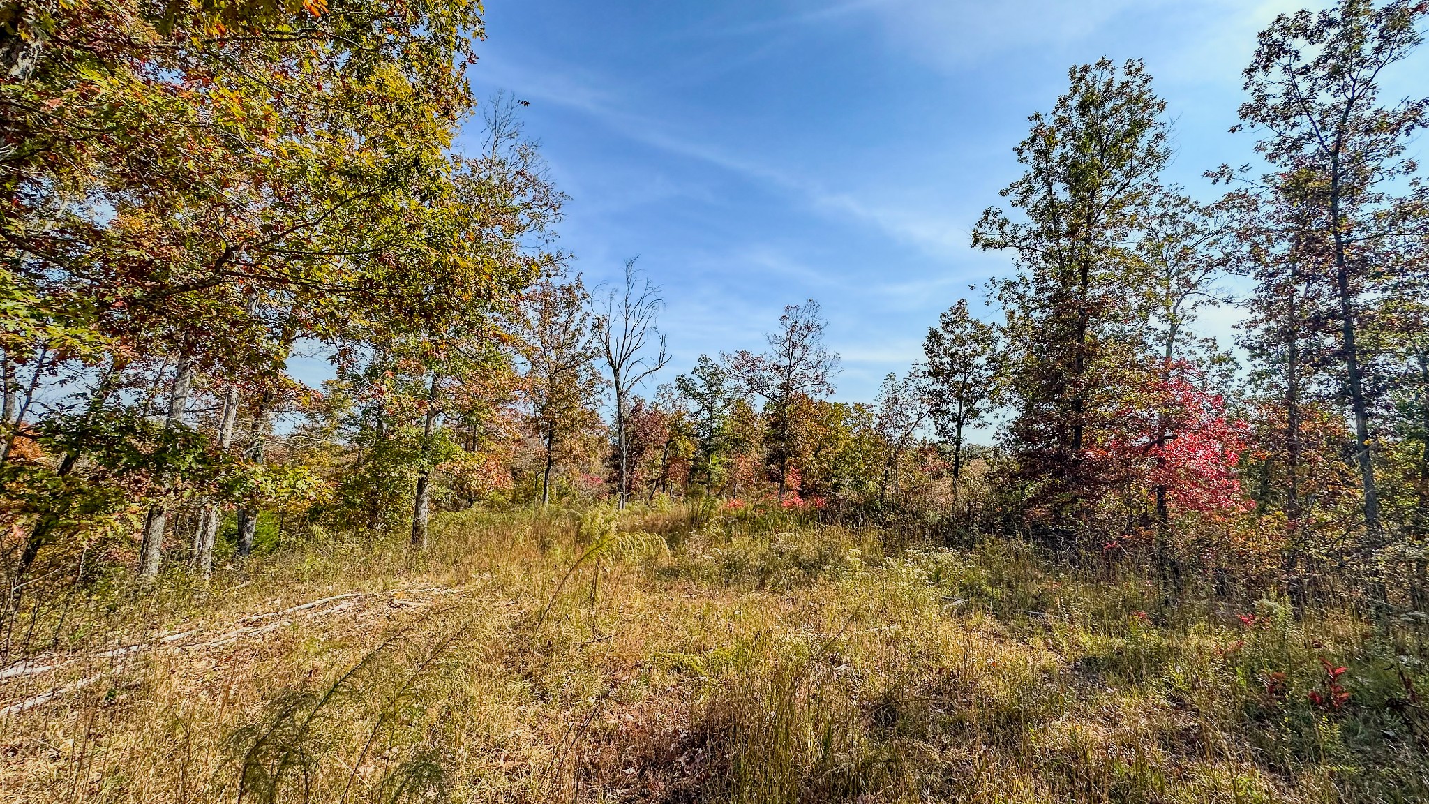 5776 Highway 100 Property Photo 31