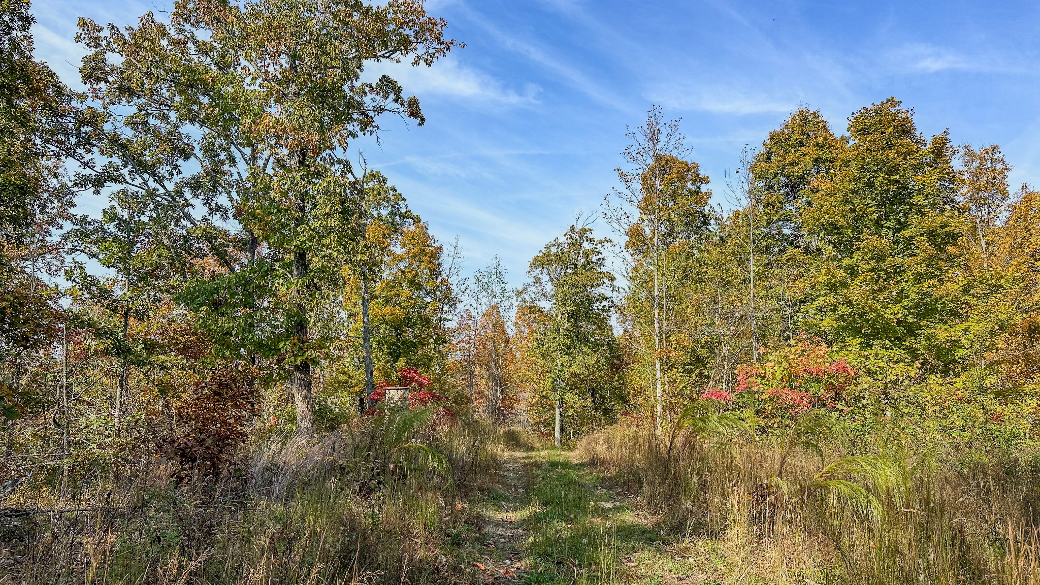 5776 Highway 100 Property Photo 32