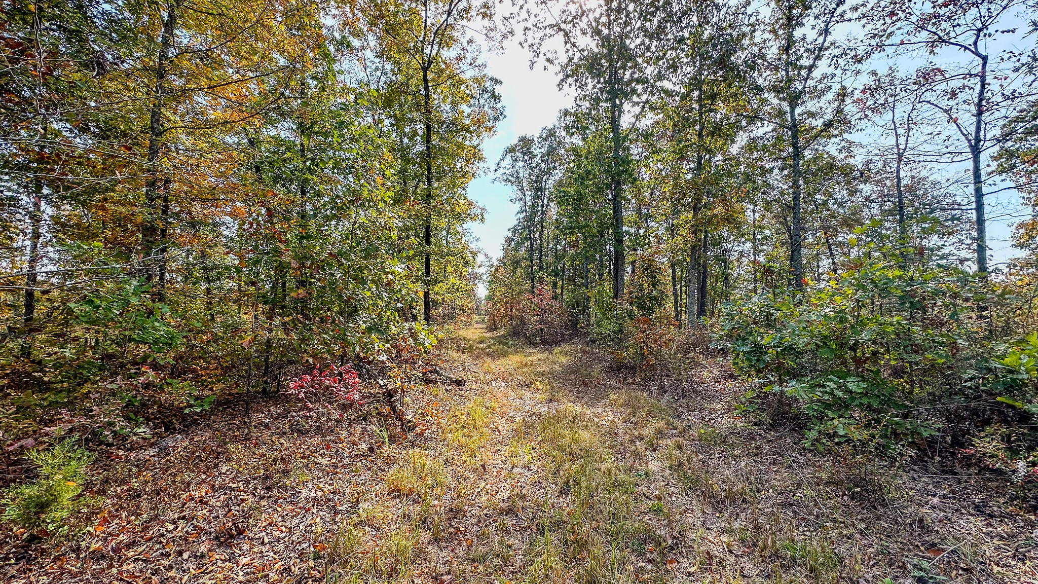 5776 Highway 100 Property Photo 10