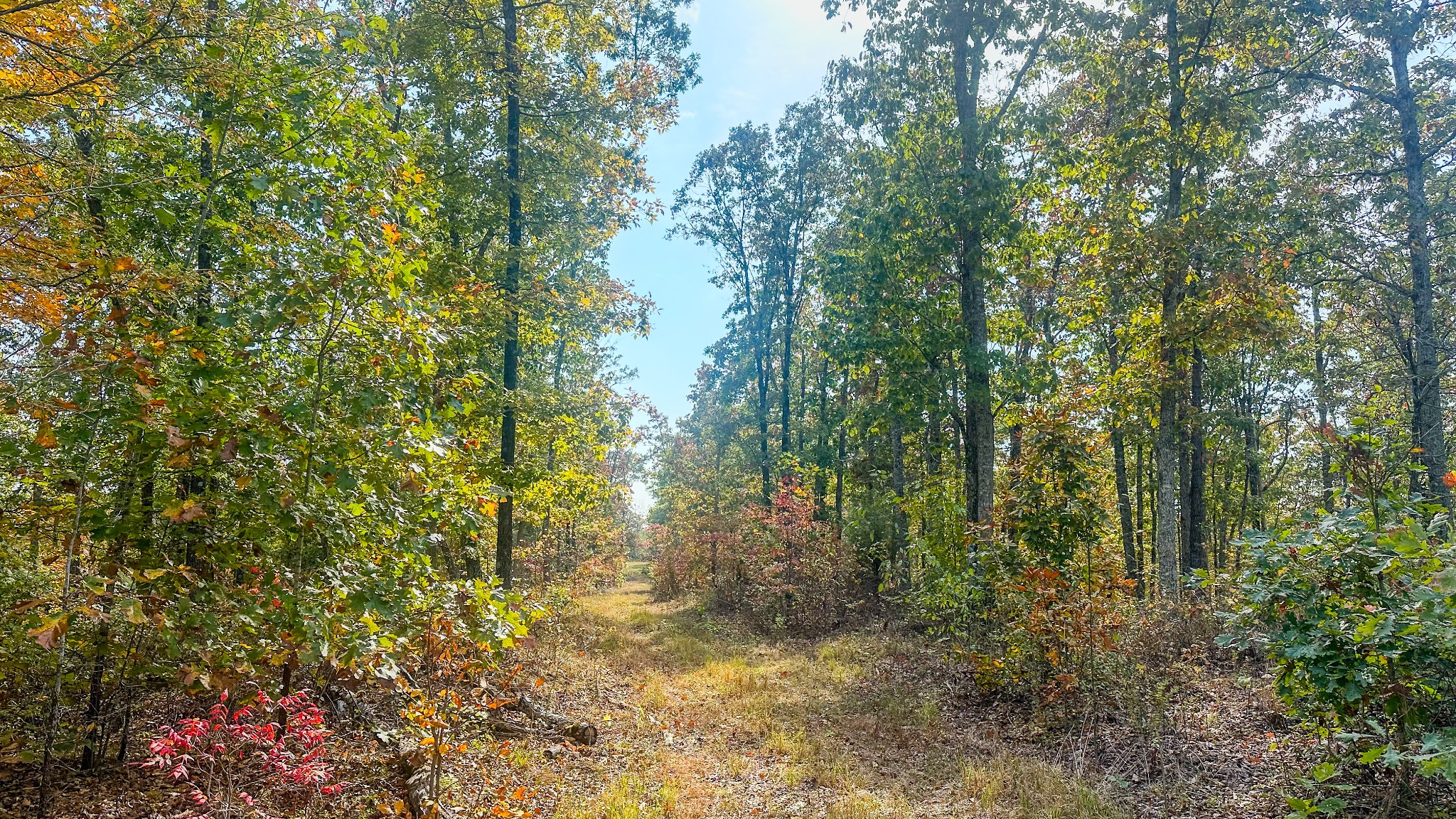 5776 Highway 100 Property Photo 11