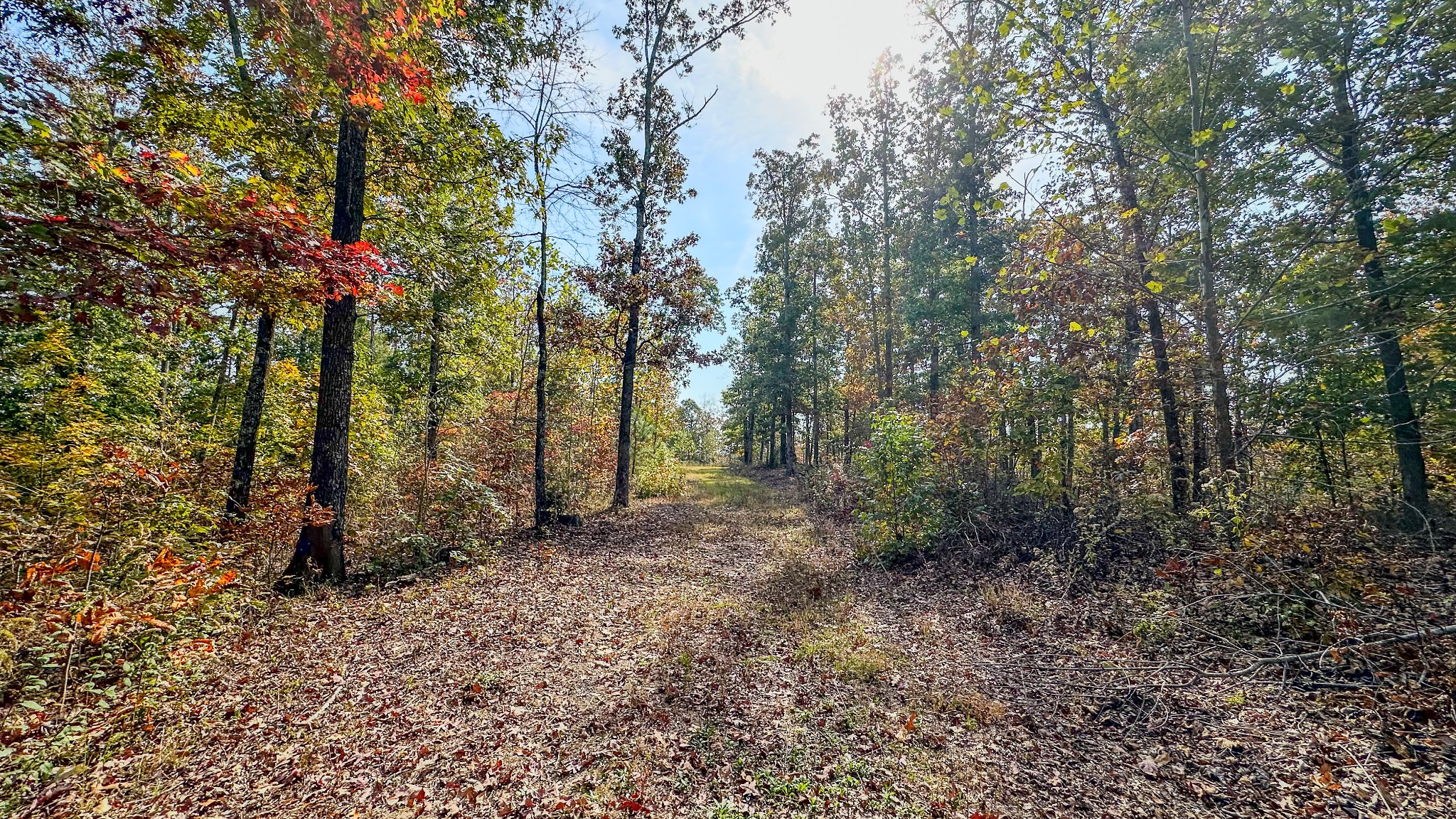 5776 Highway 100 Property Photo 12
