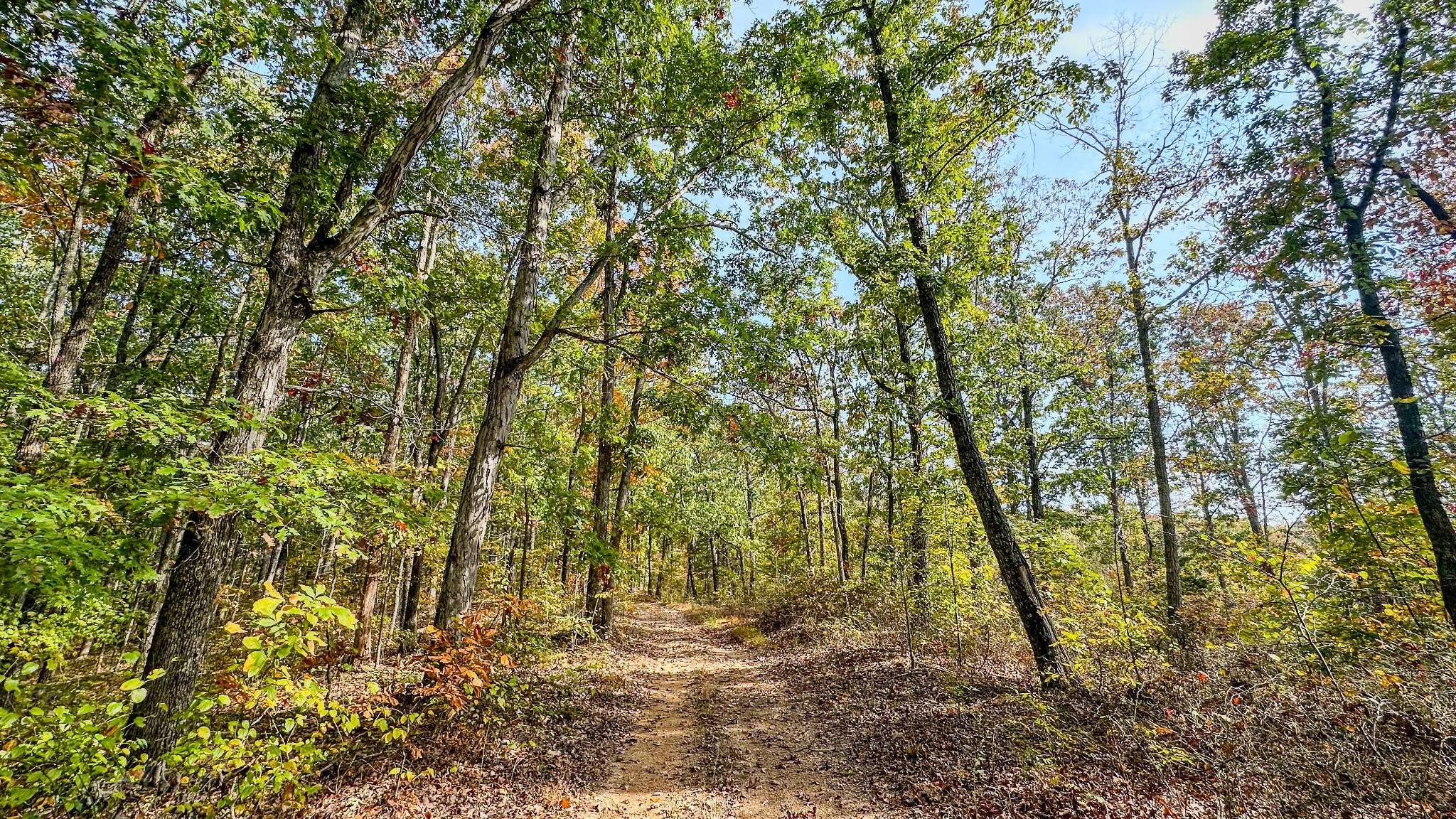 5776 Highway 100 Property Photo 14