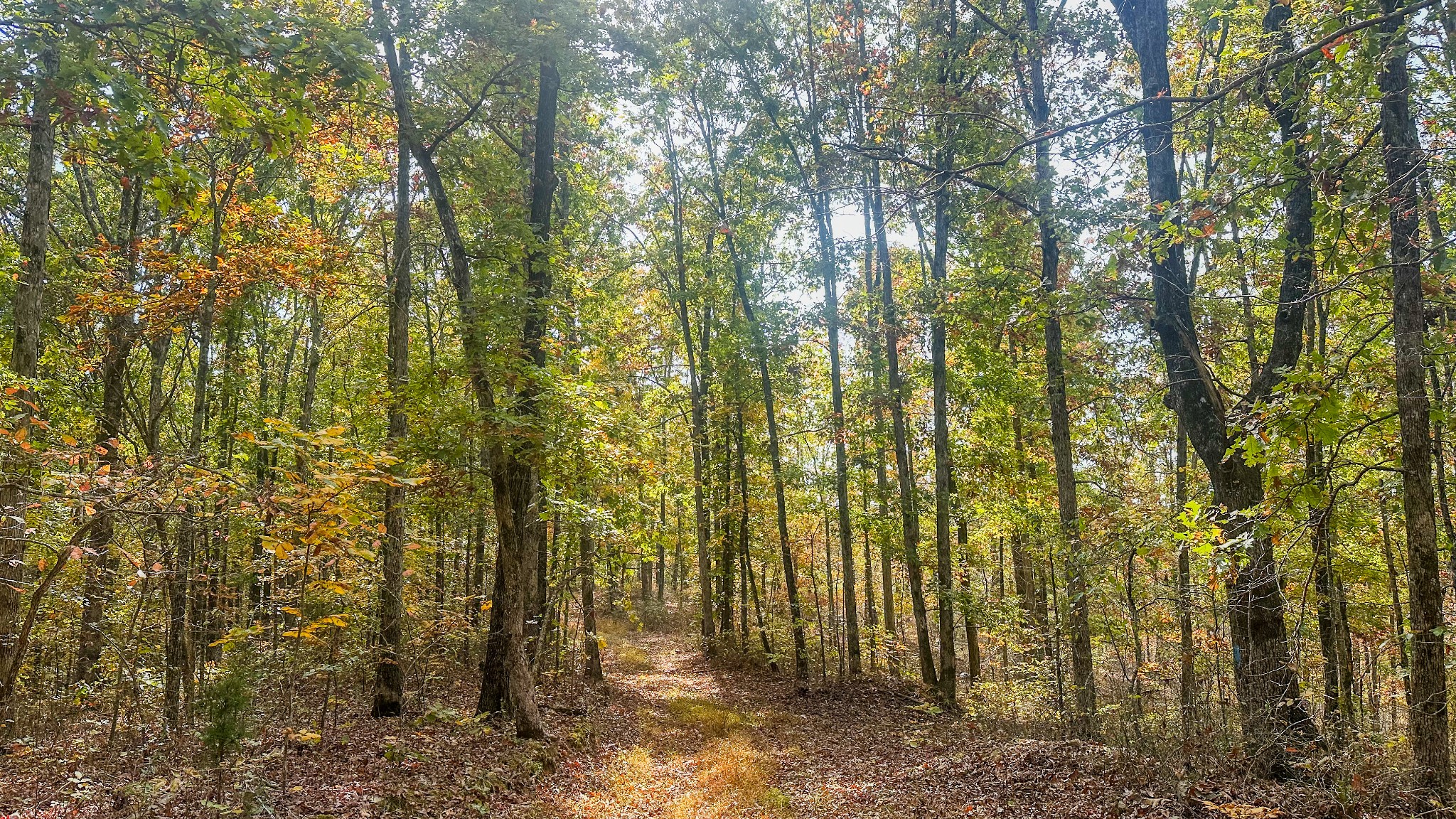 5776 Highway 100 Property Photo 15