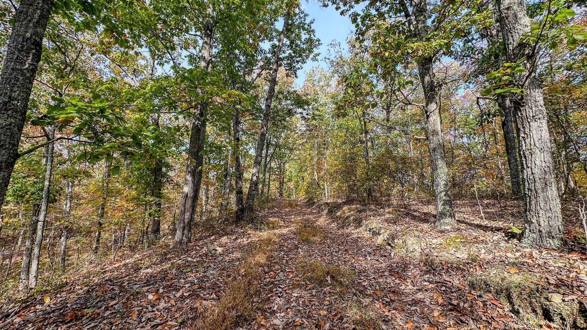 5776 Highway 100 Property Photo 16
