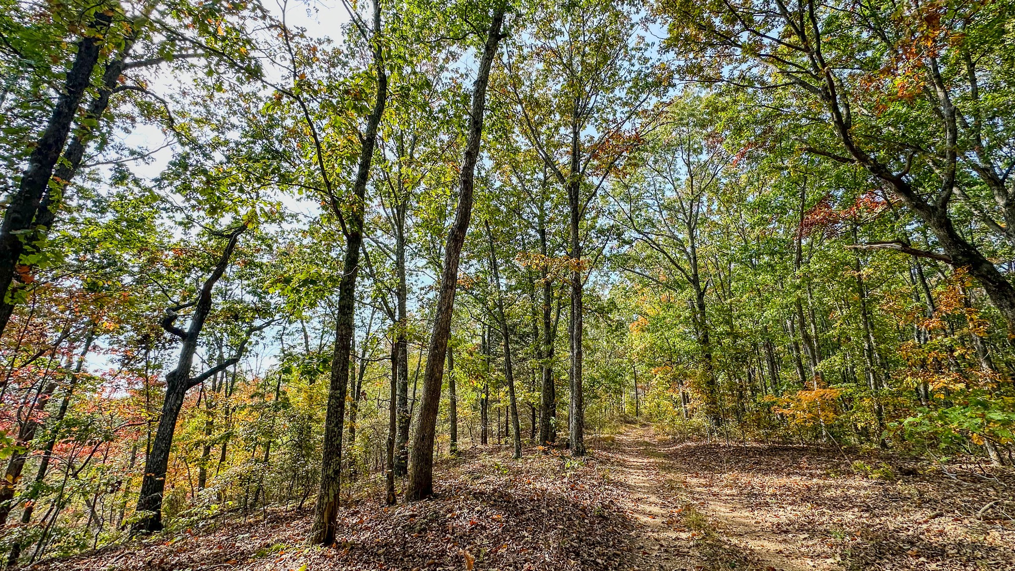 5776 Highway 100 Property Photo 17