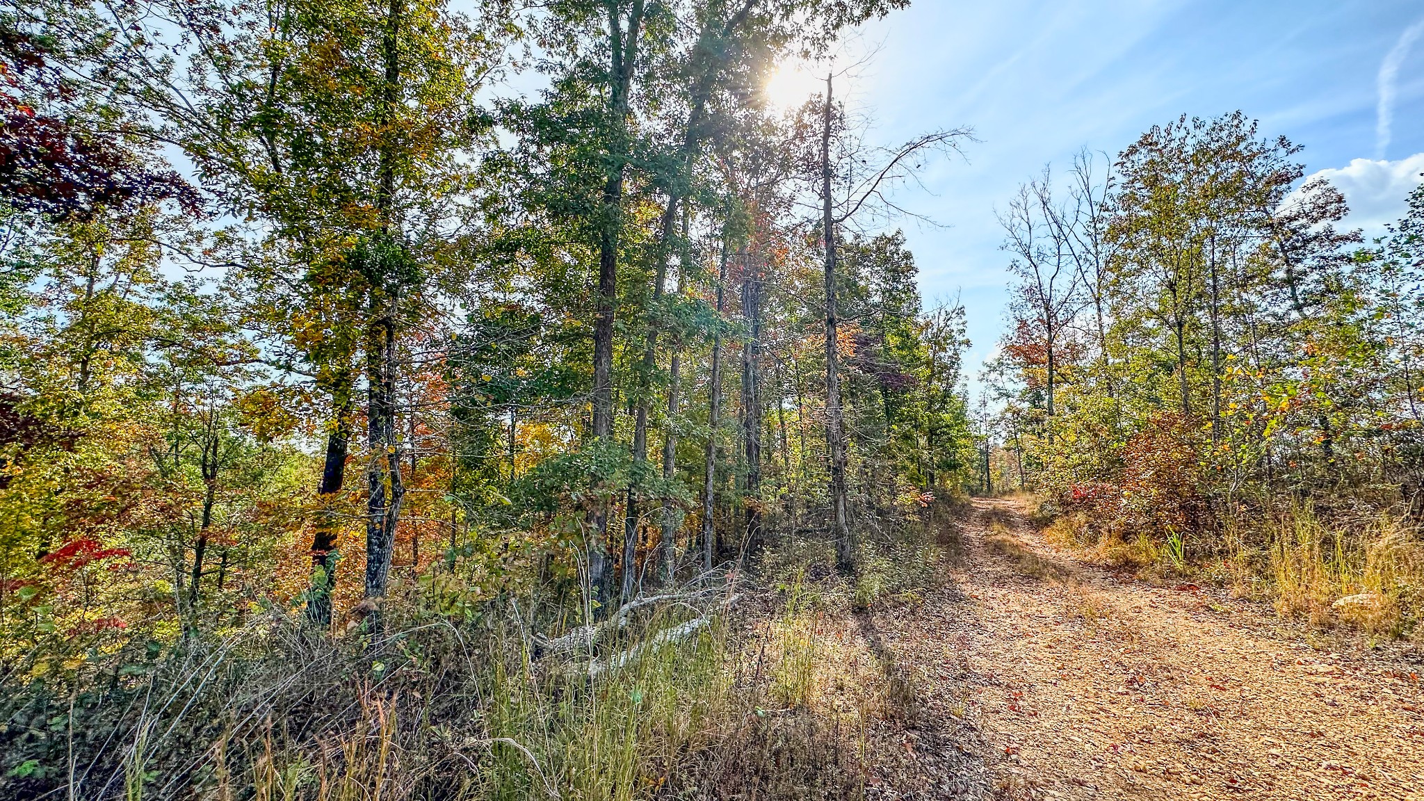 5776 Highway 100 Property Photo 18