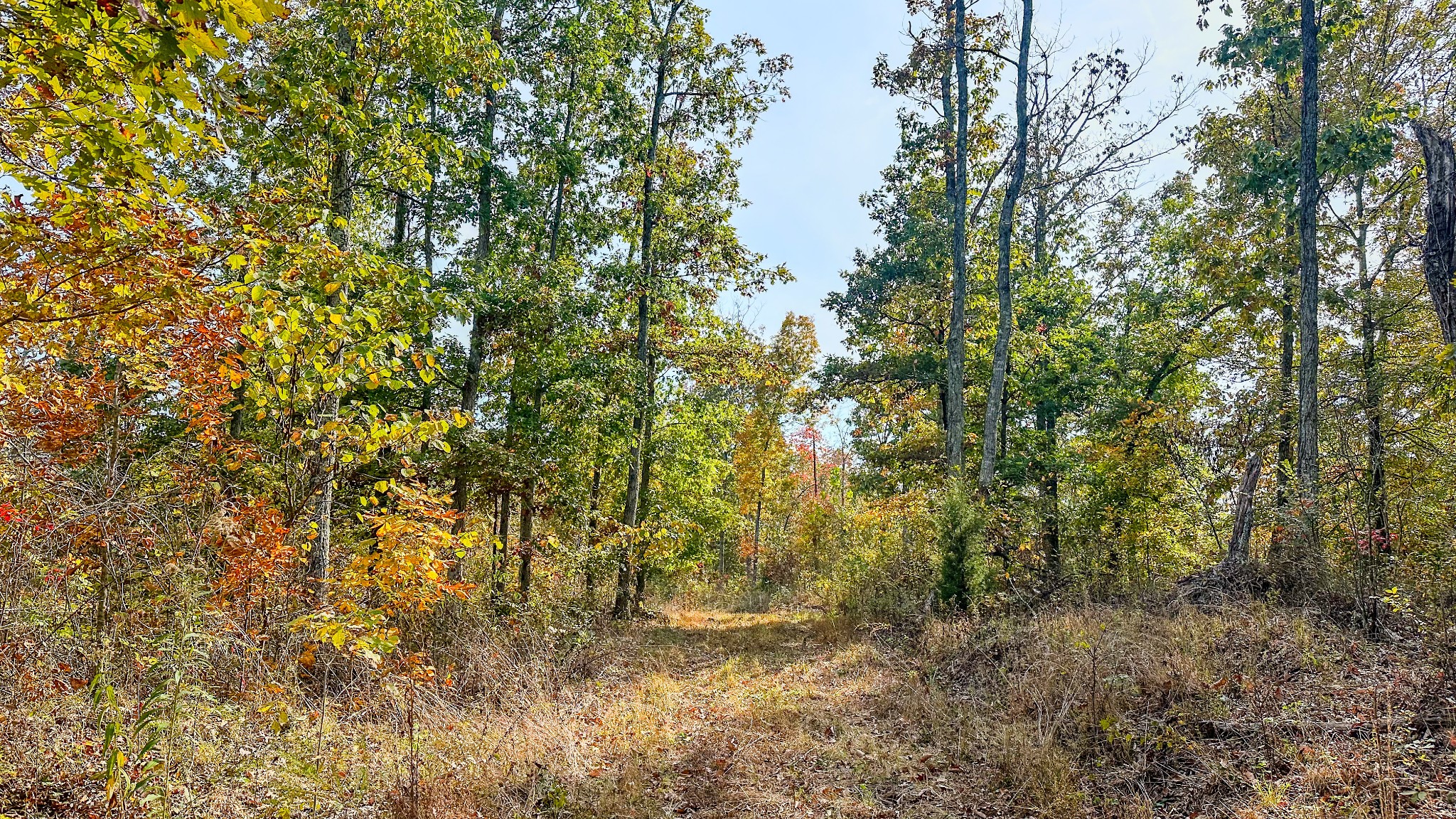 5776 Highway 100 Property Photo 19