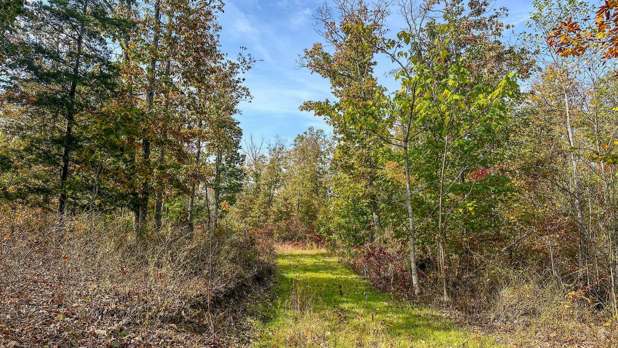 5776 Highway 100 Property Photo 21