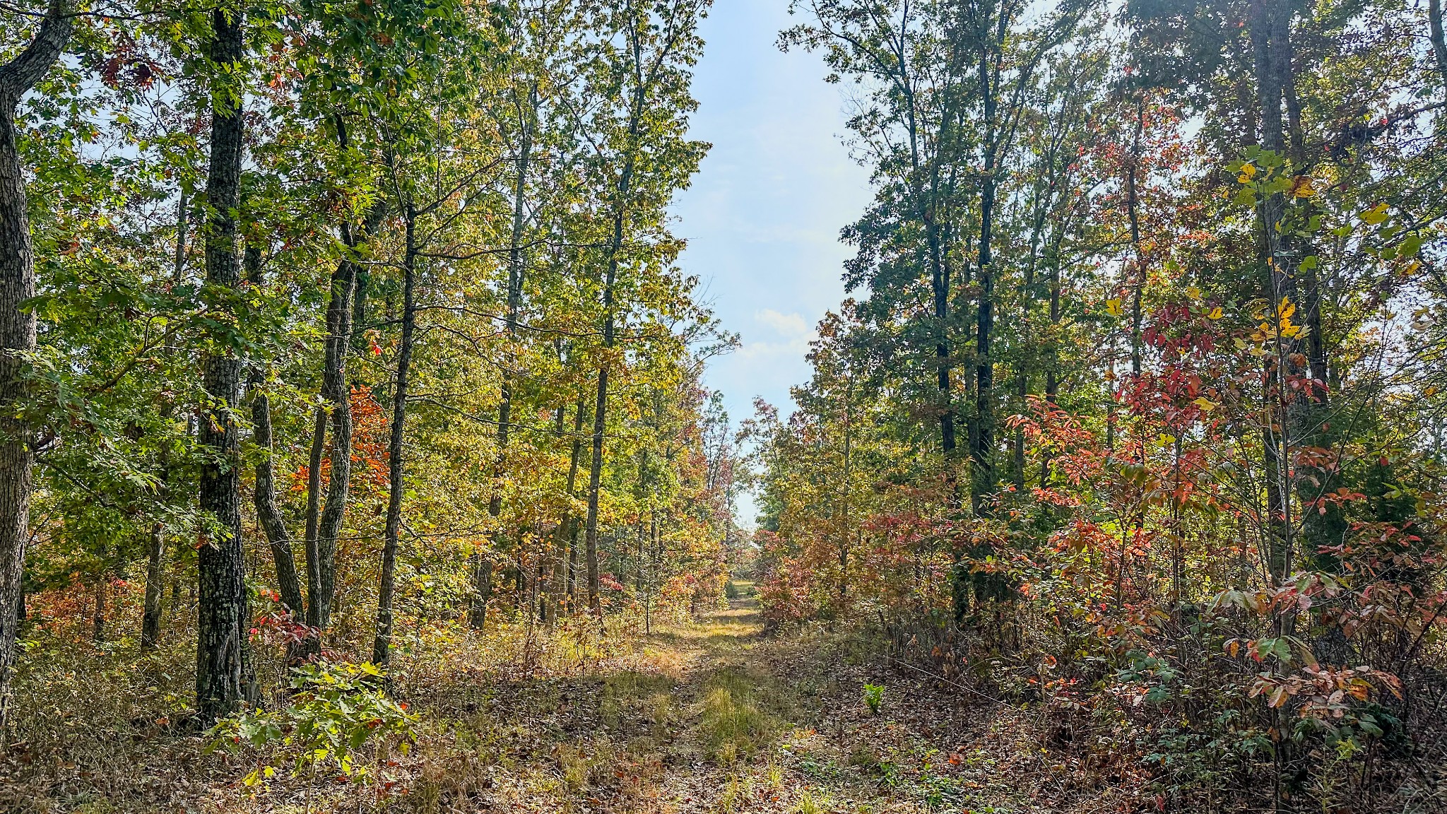 5776 Highway 100 Property Photo 22
