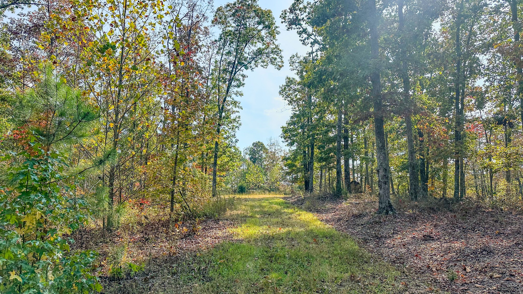 5776 Highway 100 Property Photo 23