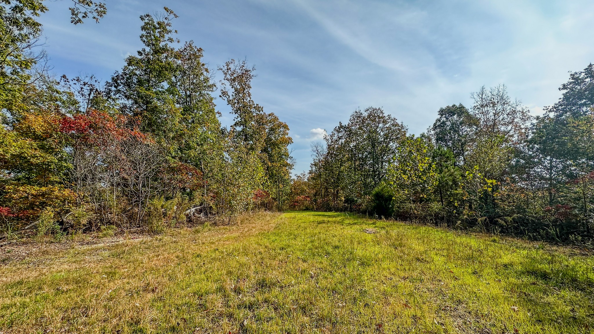 5776 Highway 100 Property Photo 24