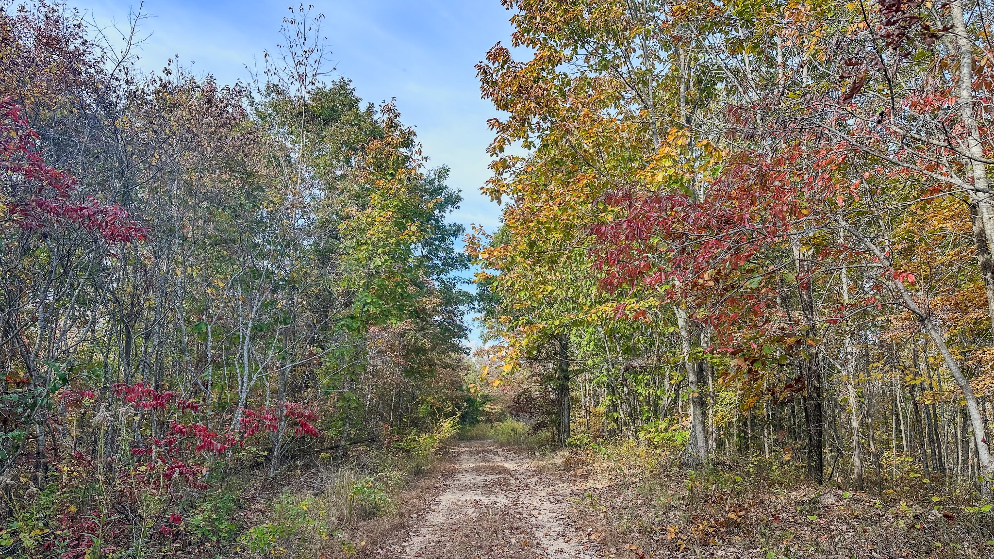 5776 Highway 100 Property Photo 17