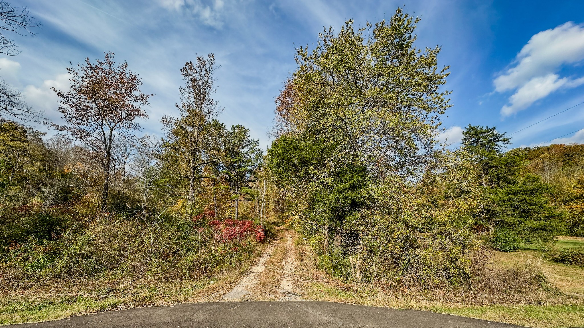 5776 Highway 100 Property Photo 18