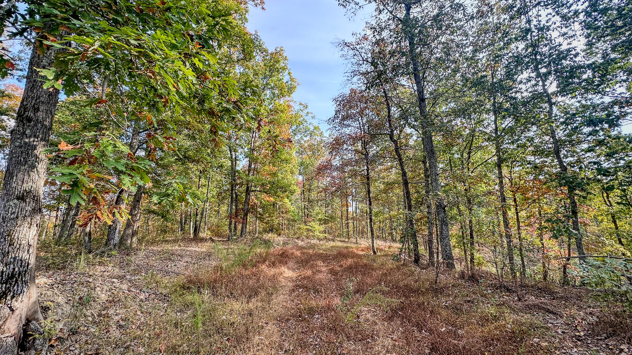 5776 Highway 100 Property Photo 19