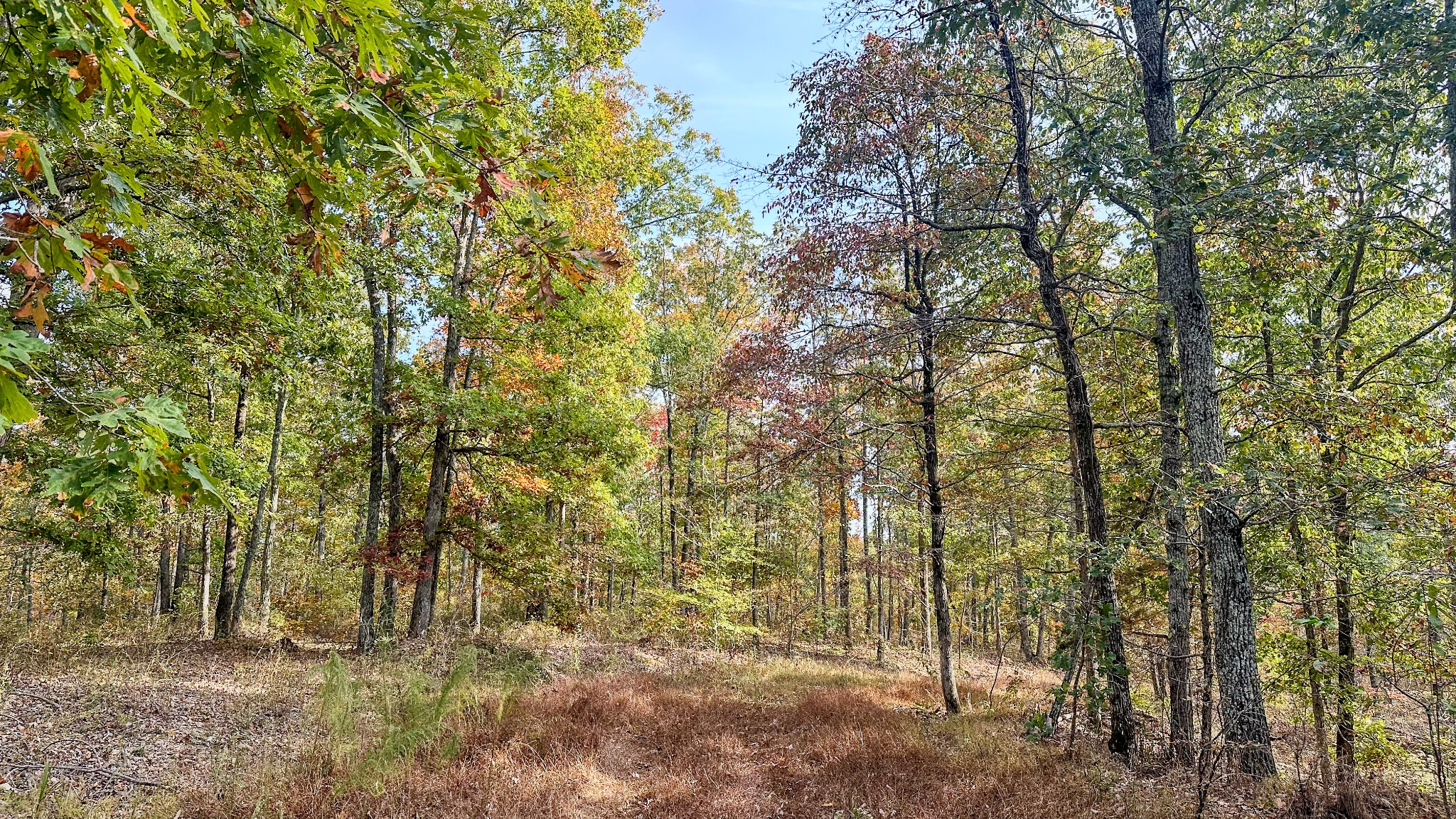 5776 Highway 100 Property Photo 20