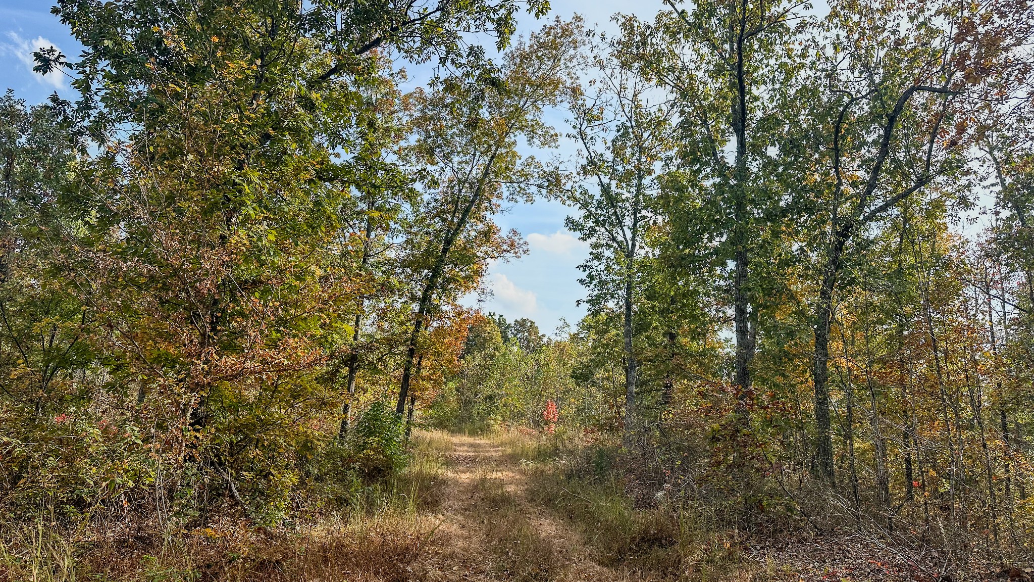 5776 Highway 100 Property Photo 21
