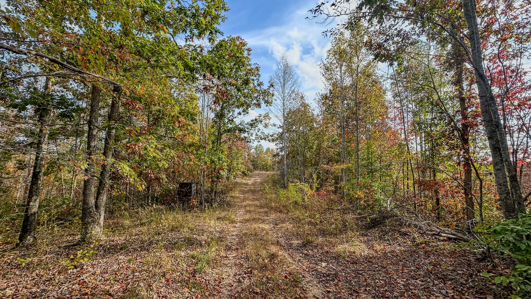 5776 Highway 100 Property Photo 22