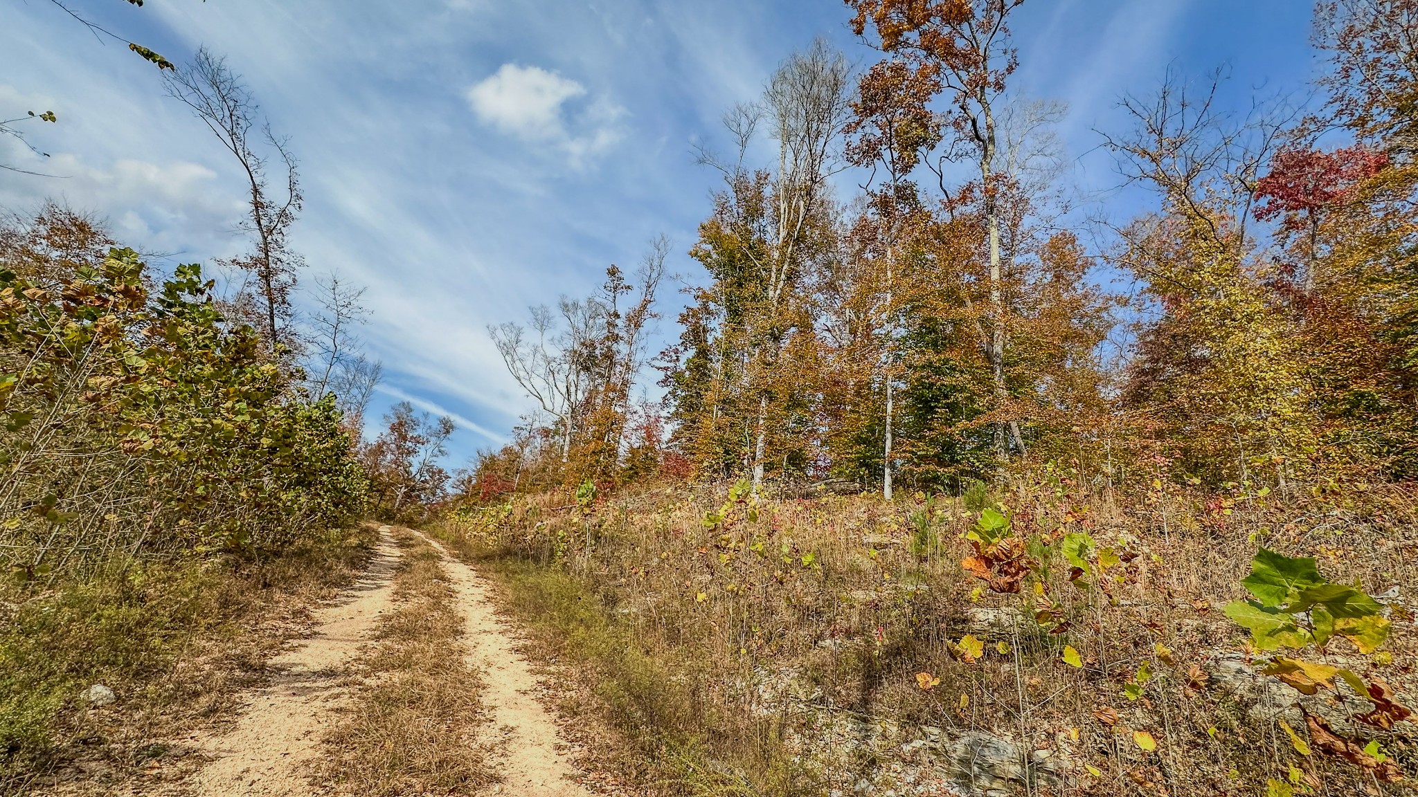 5776 Highway 100 Property Photo 23