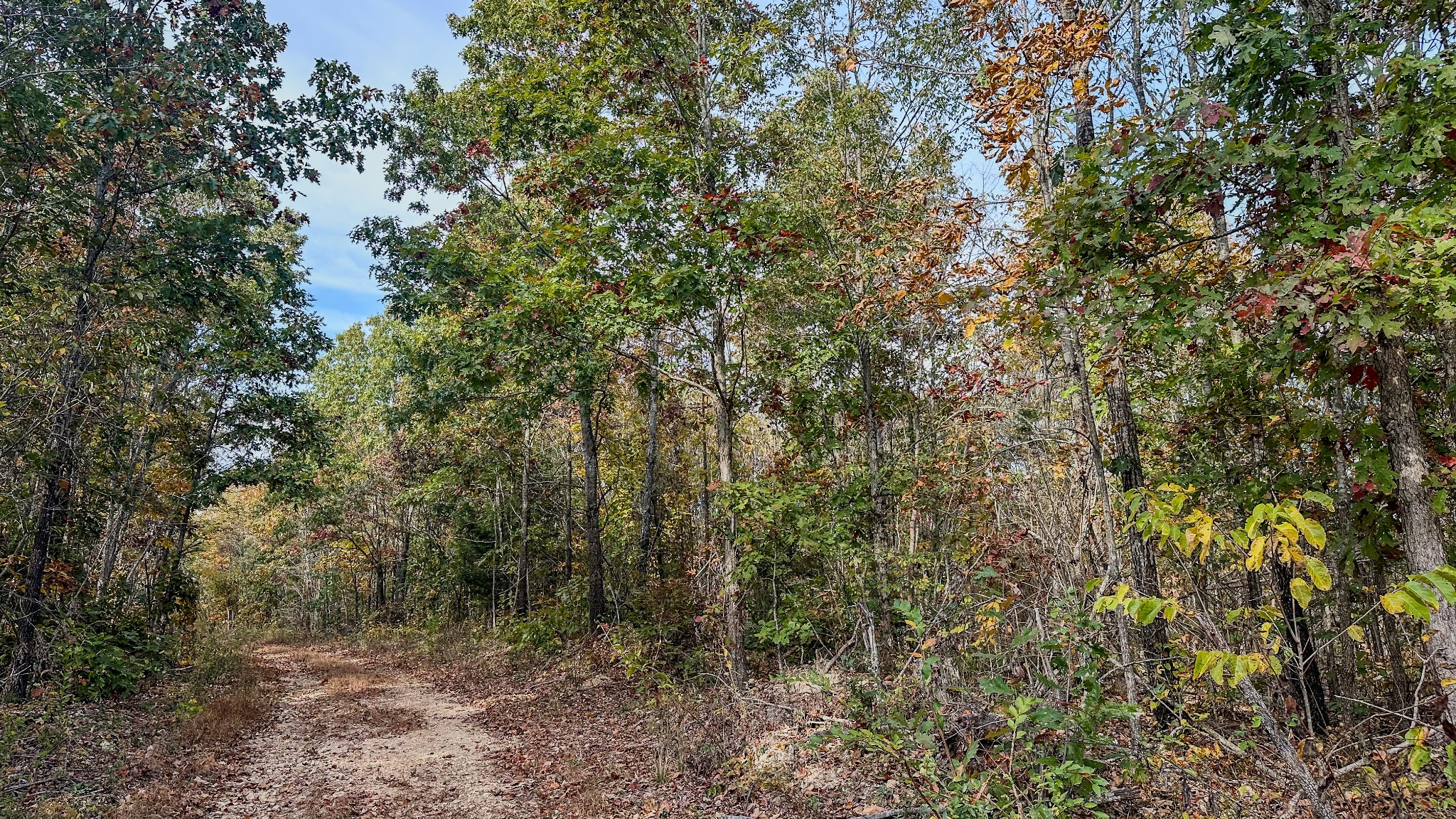 5776 Highway 100 Property Photo 24