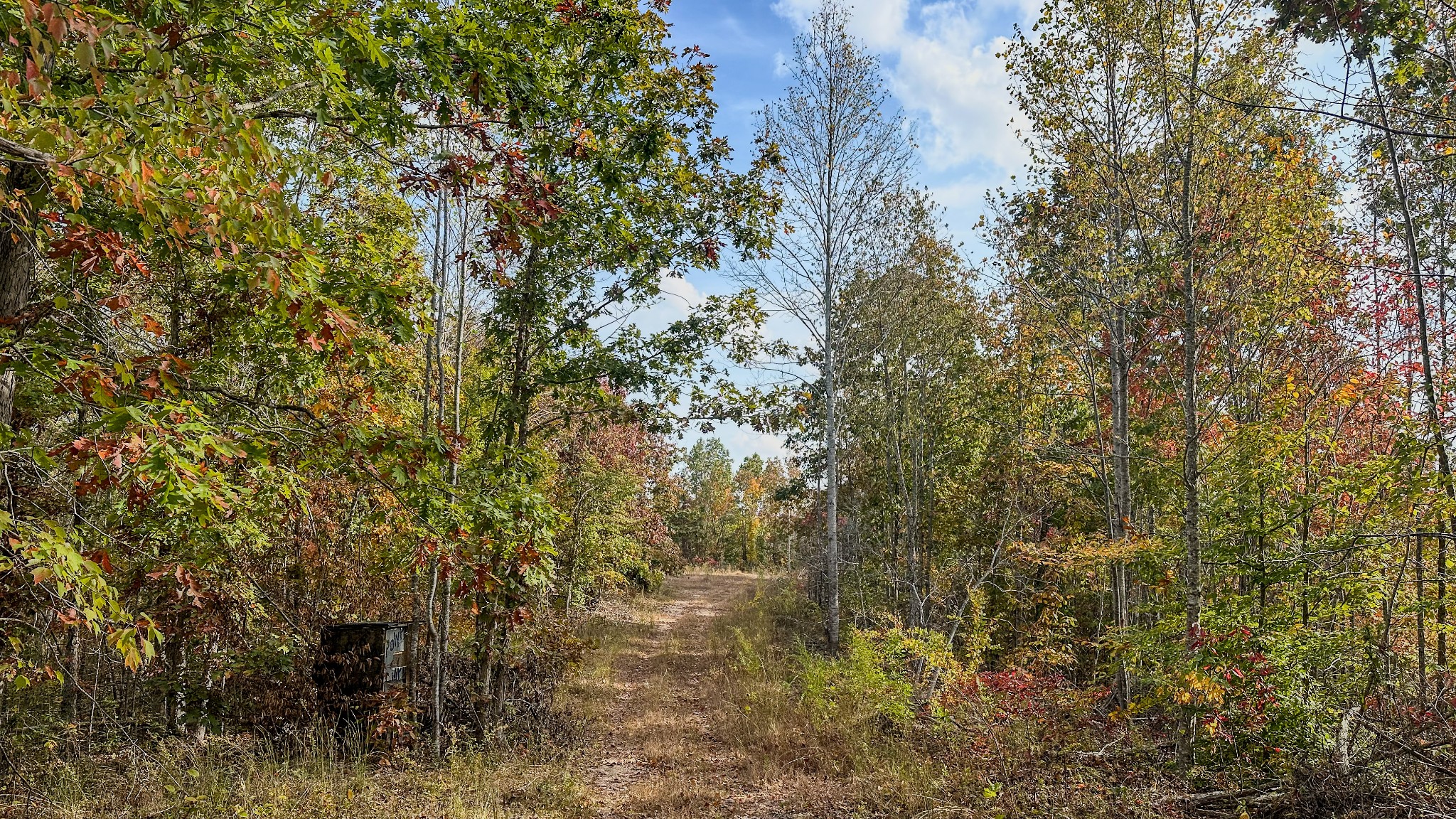 5776 Highway 100 Property Photo 25