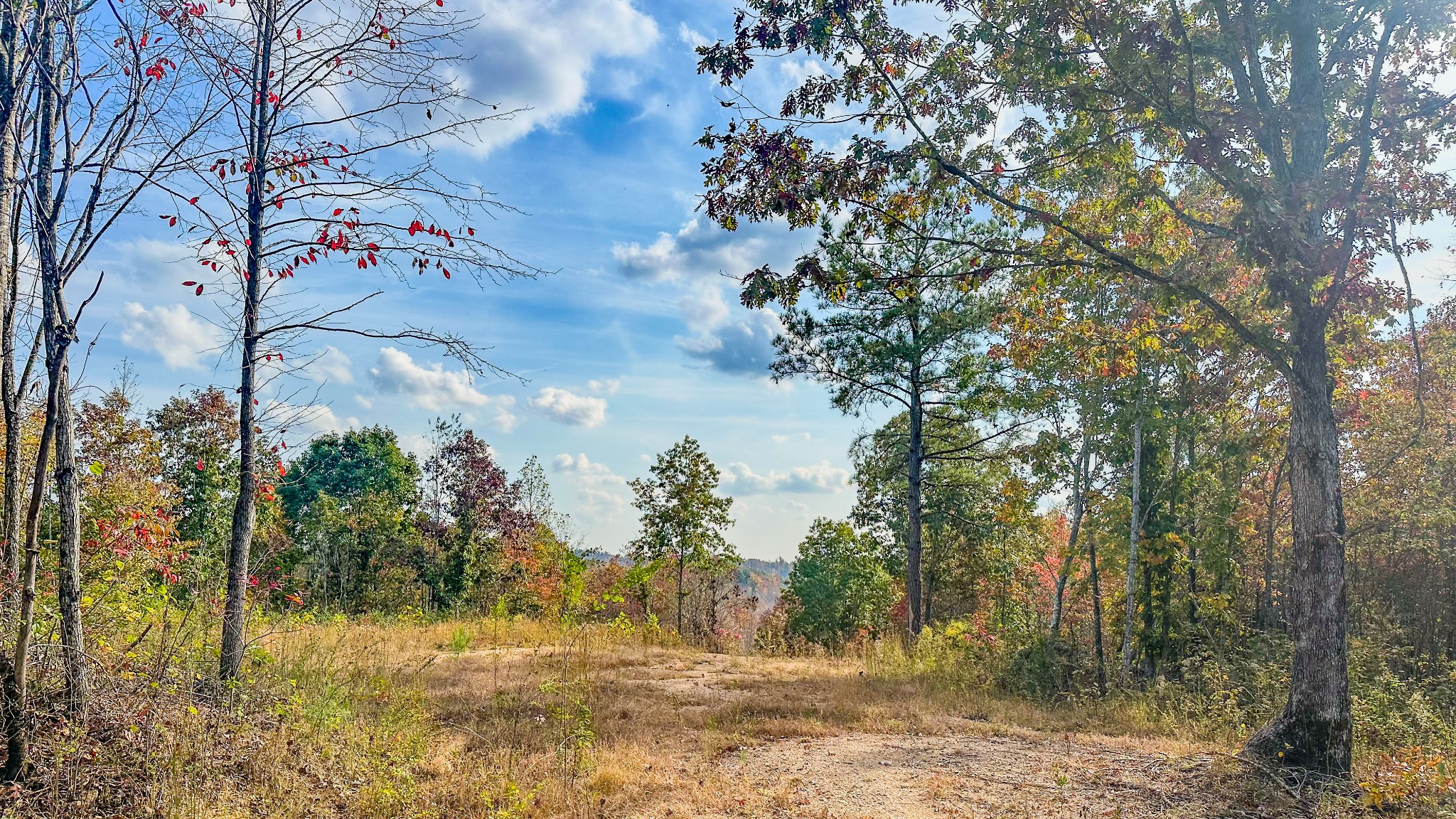 5776 Highway 100 Property Photo 26