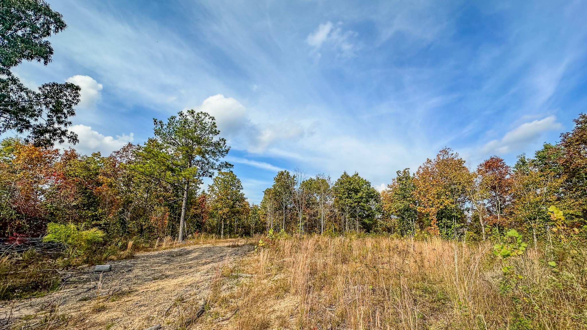 5776 Highway 100 Property Photo 27