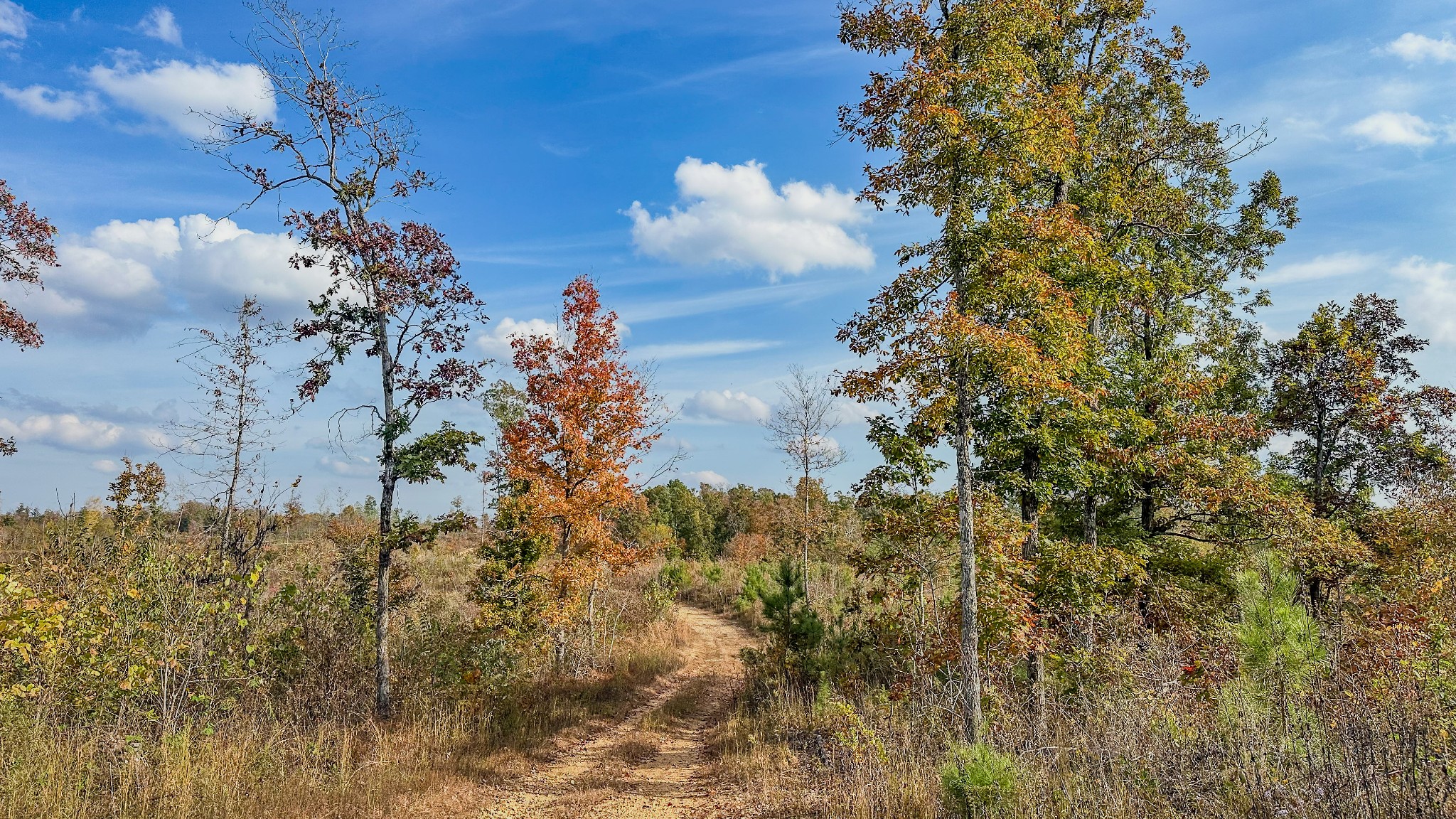 5776 Highway 100 Property Photo 28