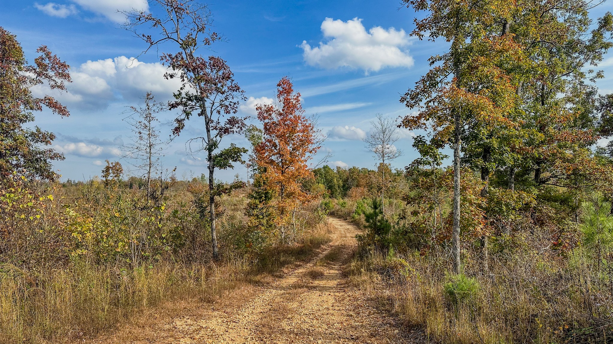 5776 Highway 100 Property Photo 29