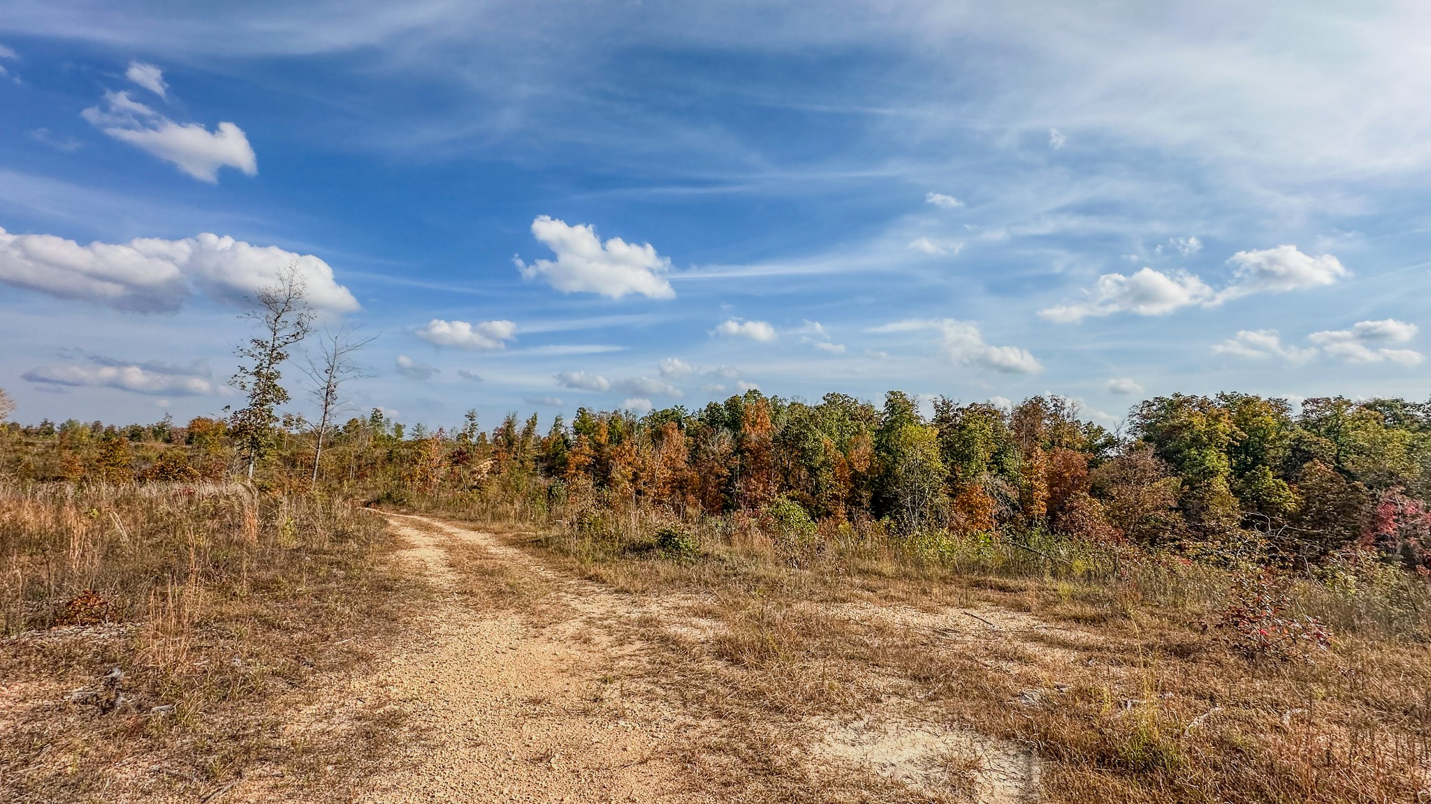 5776 Highway 100 Property Photo 31