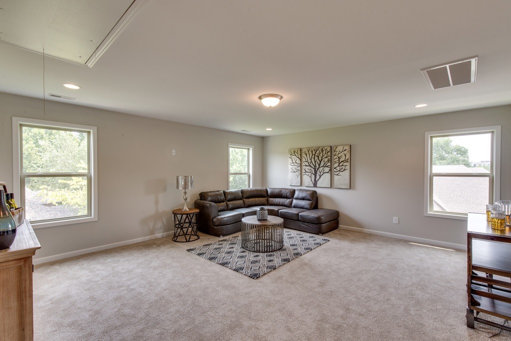 55 Bear Branch Place Property Photo 6